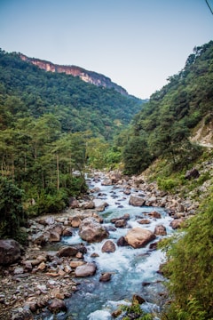 A river flows through a rocky, tree-lined canyon.