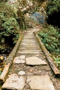 Wooden bridge on a forest path