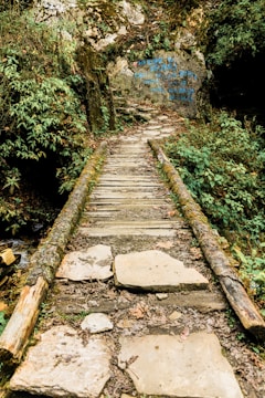 Wooden bridge on a forest path