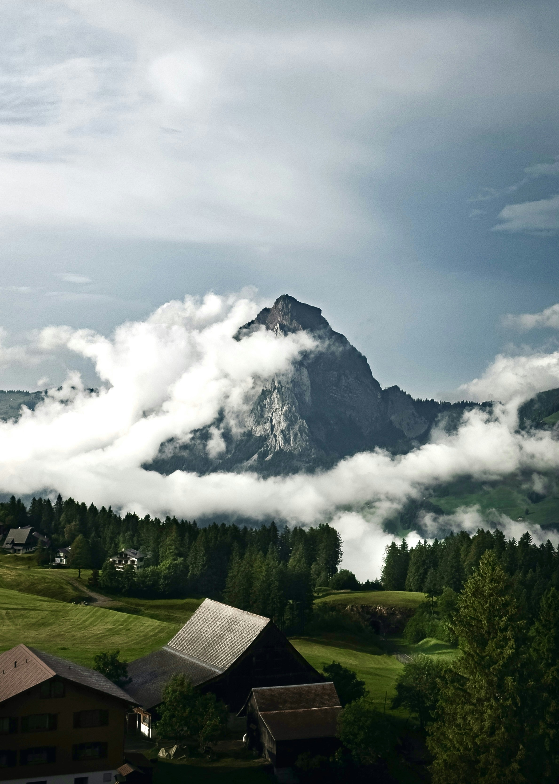 Photo by gilleyaguilar