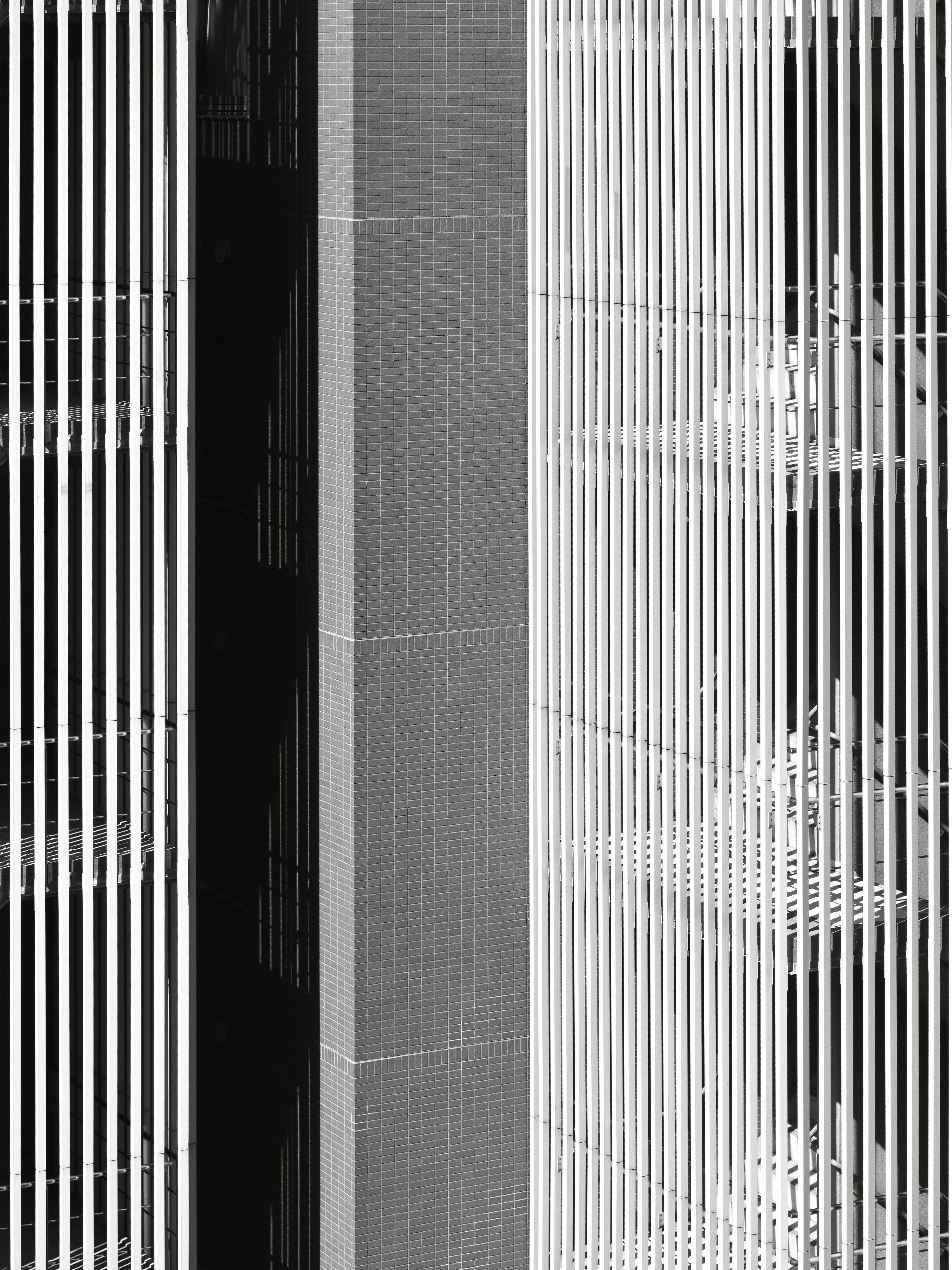 Photo by sschusterphotoart