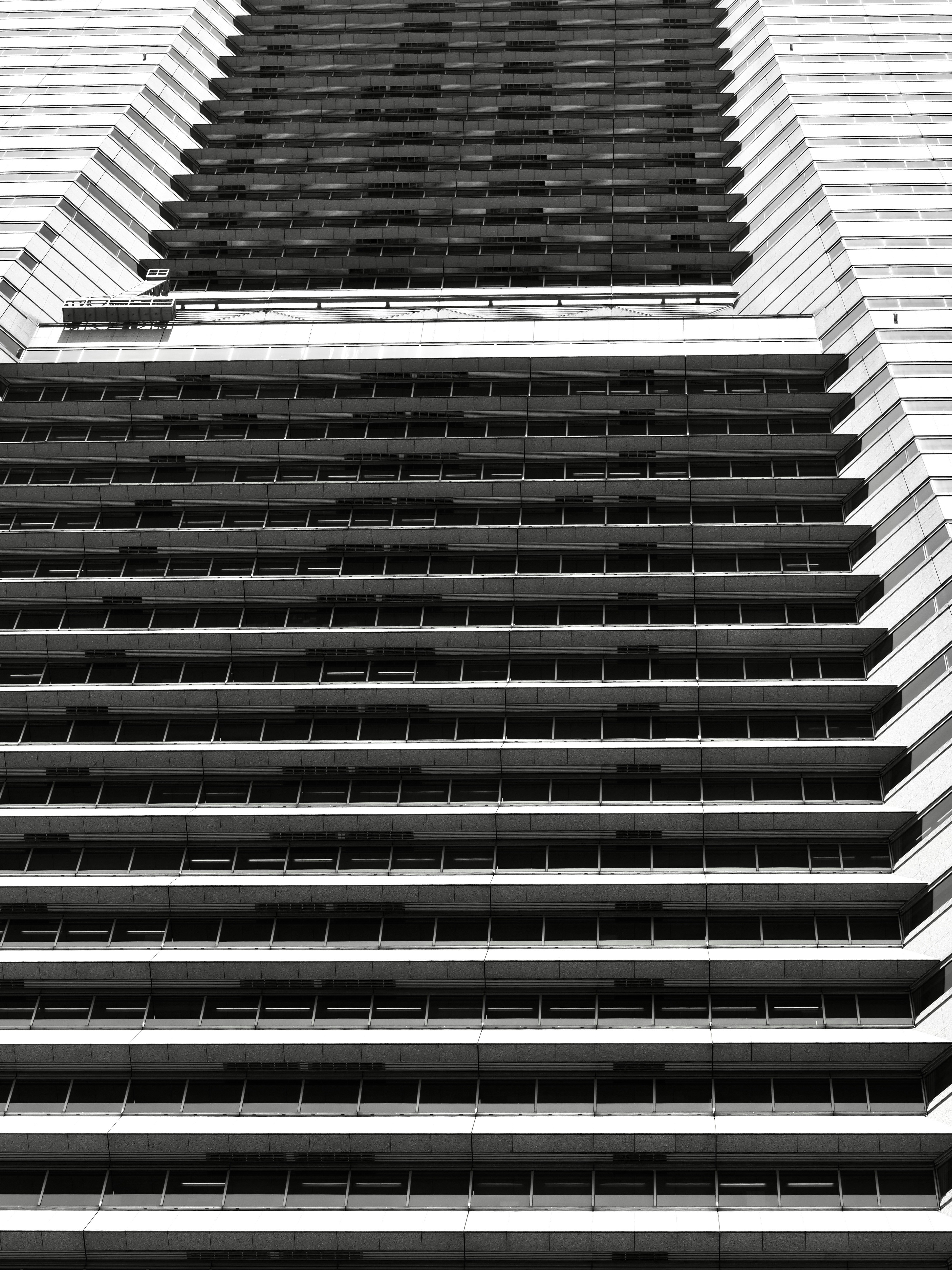 Photo by sschusterphotoart