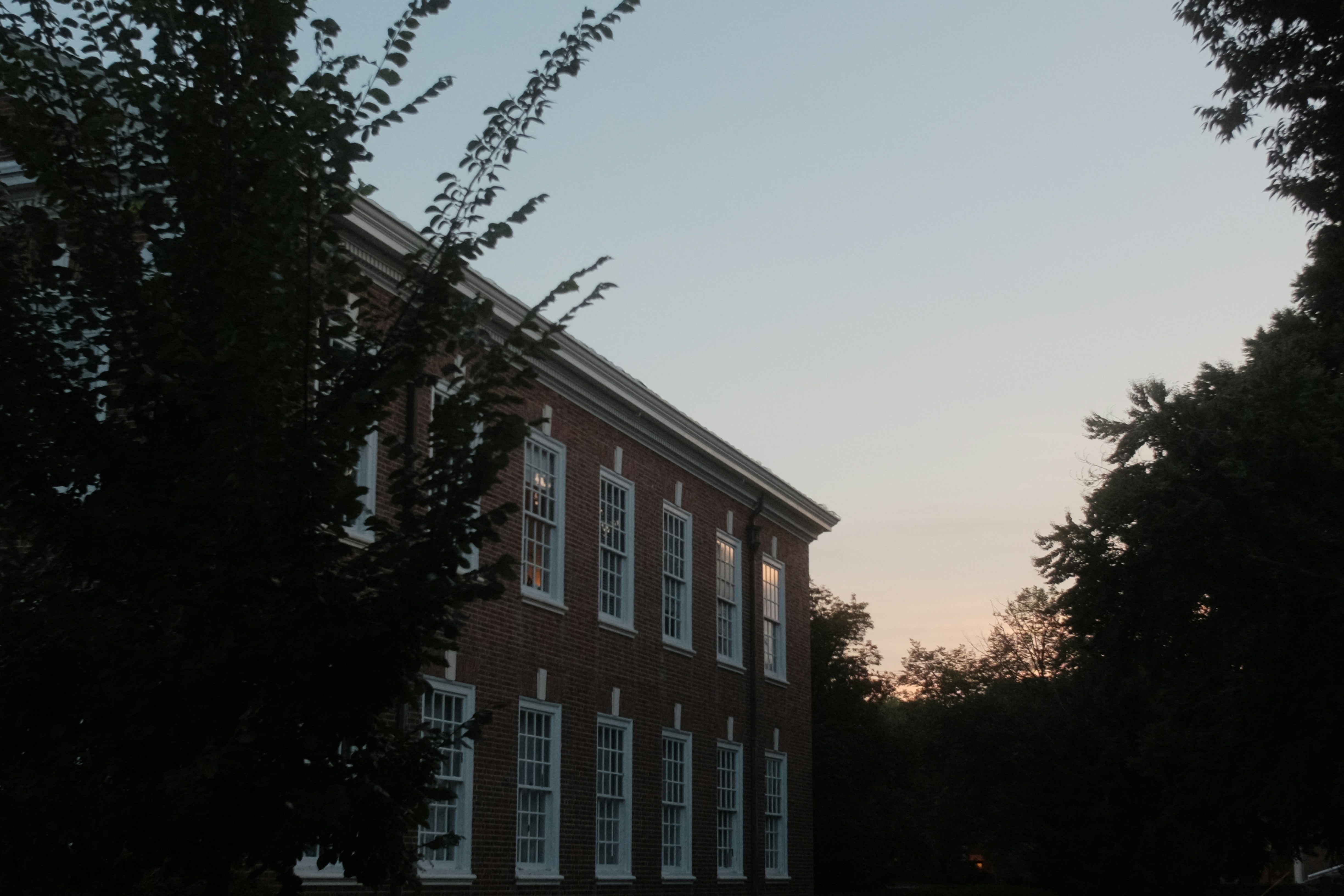 Photo by kennysgarden