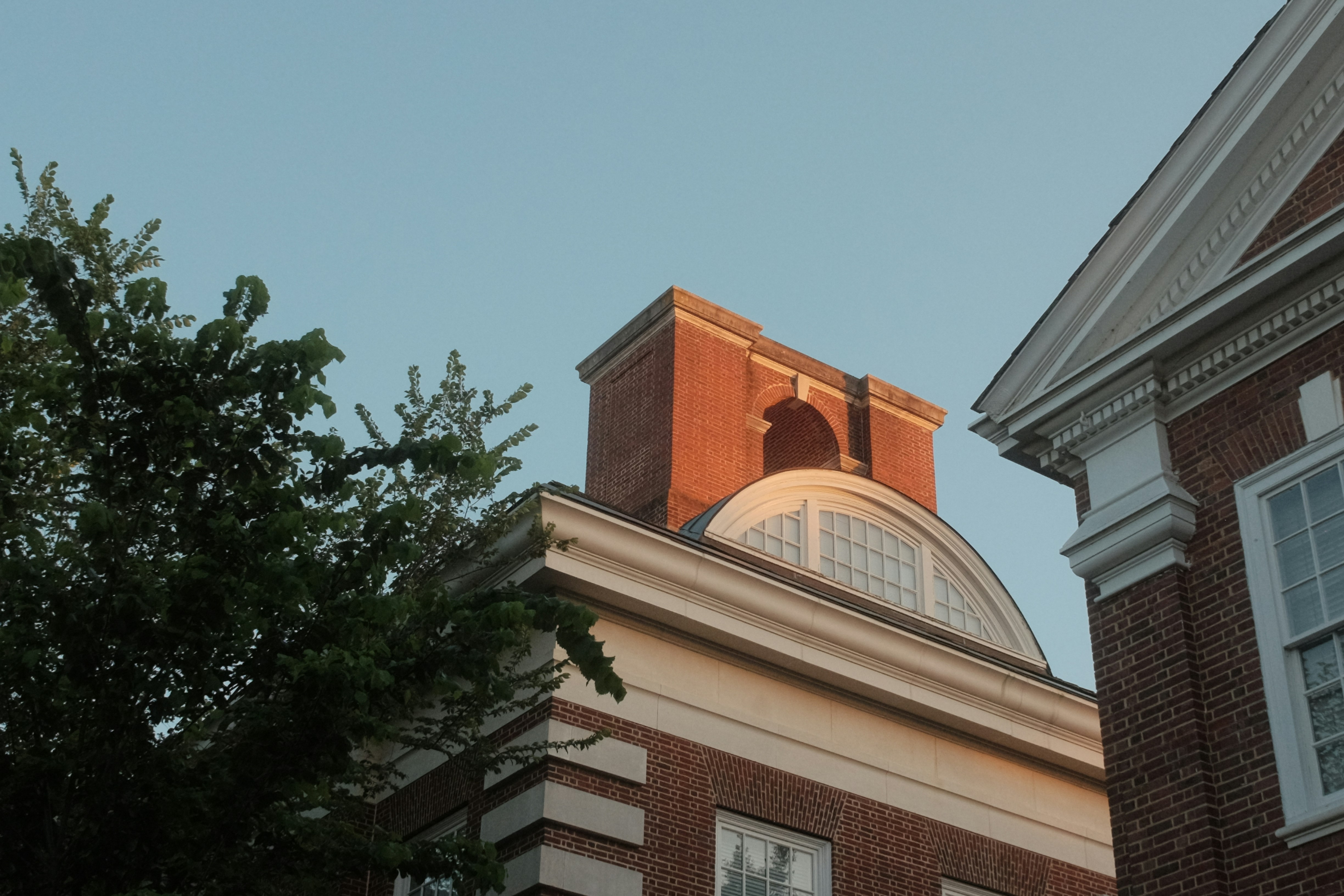 Photo by kennysgarden