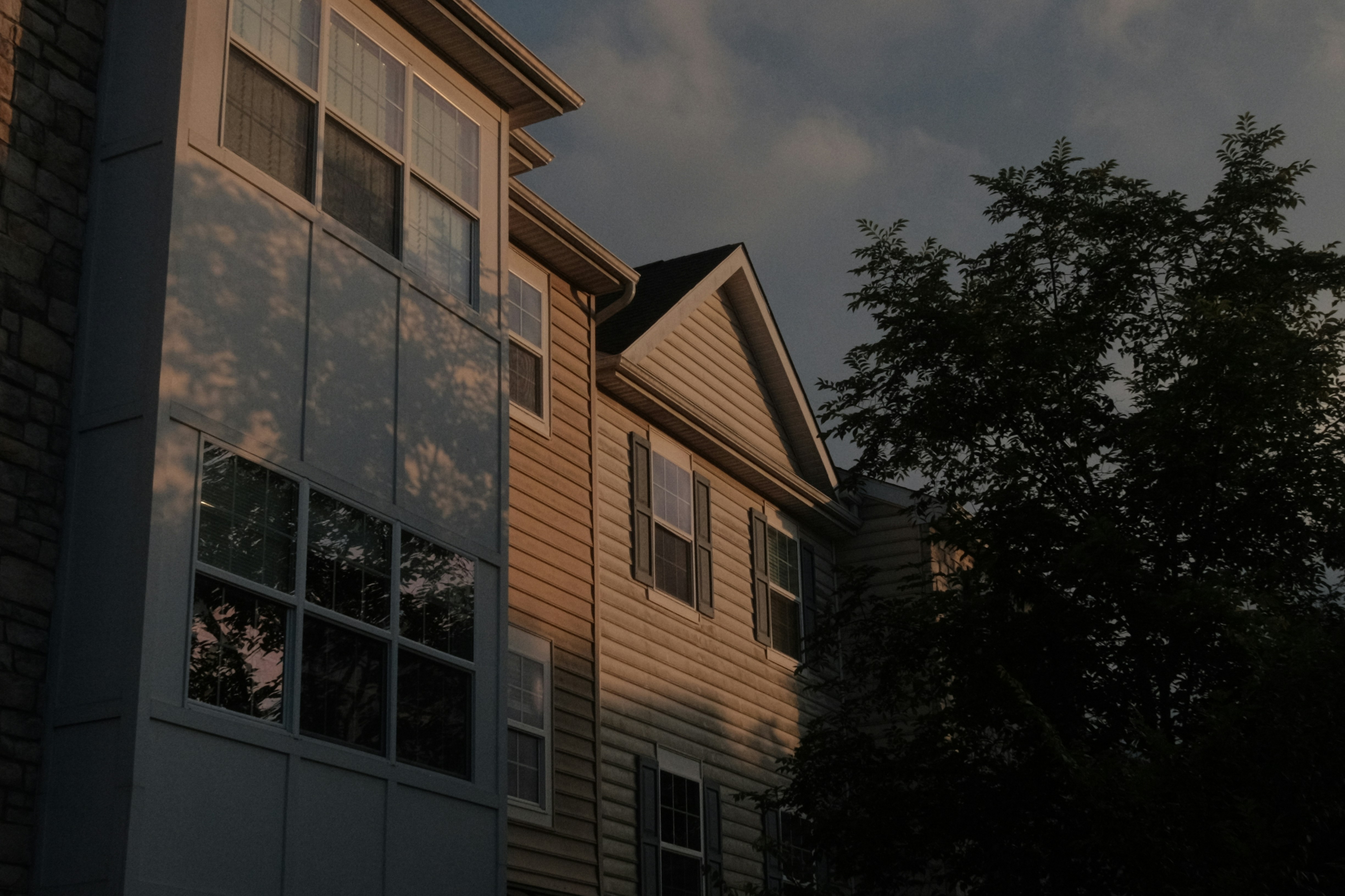 Photo by kennysgarden