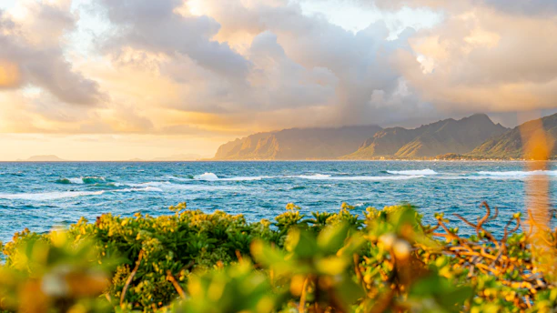 Ocean waves crash on a tropical shore at sunset