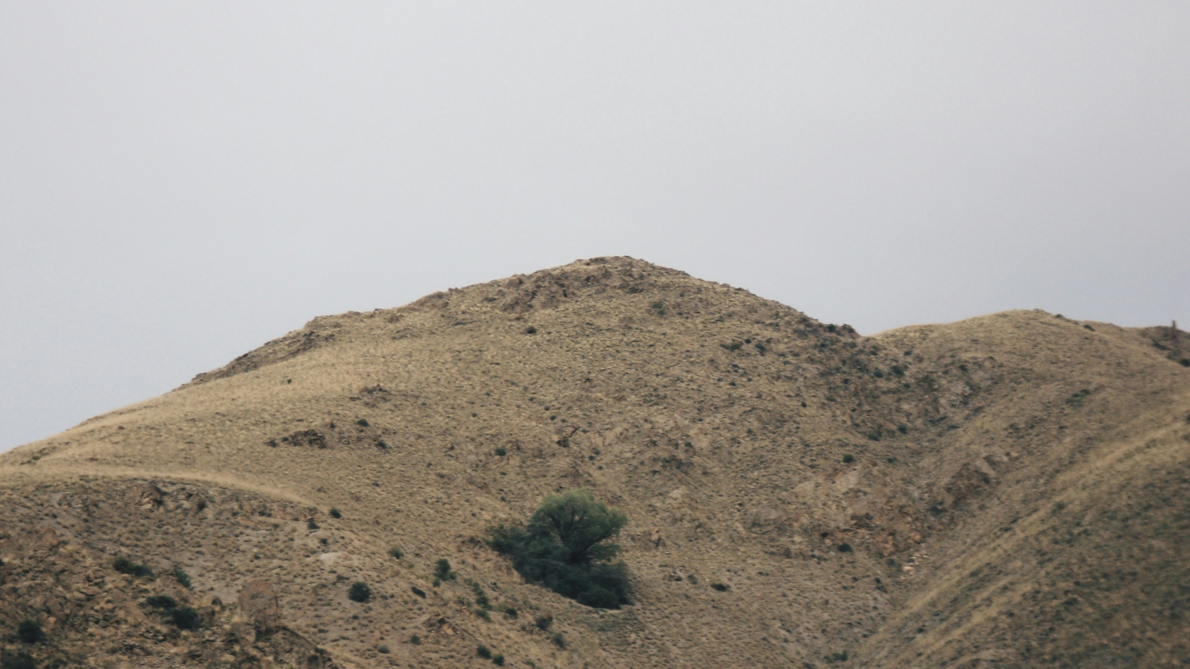 Photo by mdrezajalali