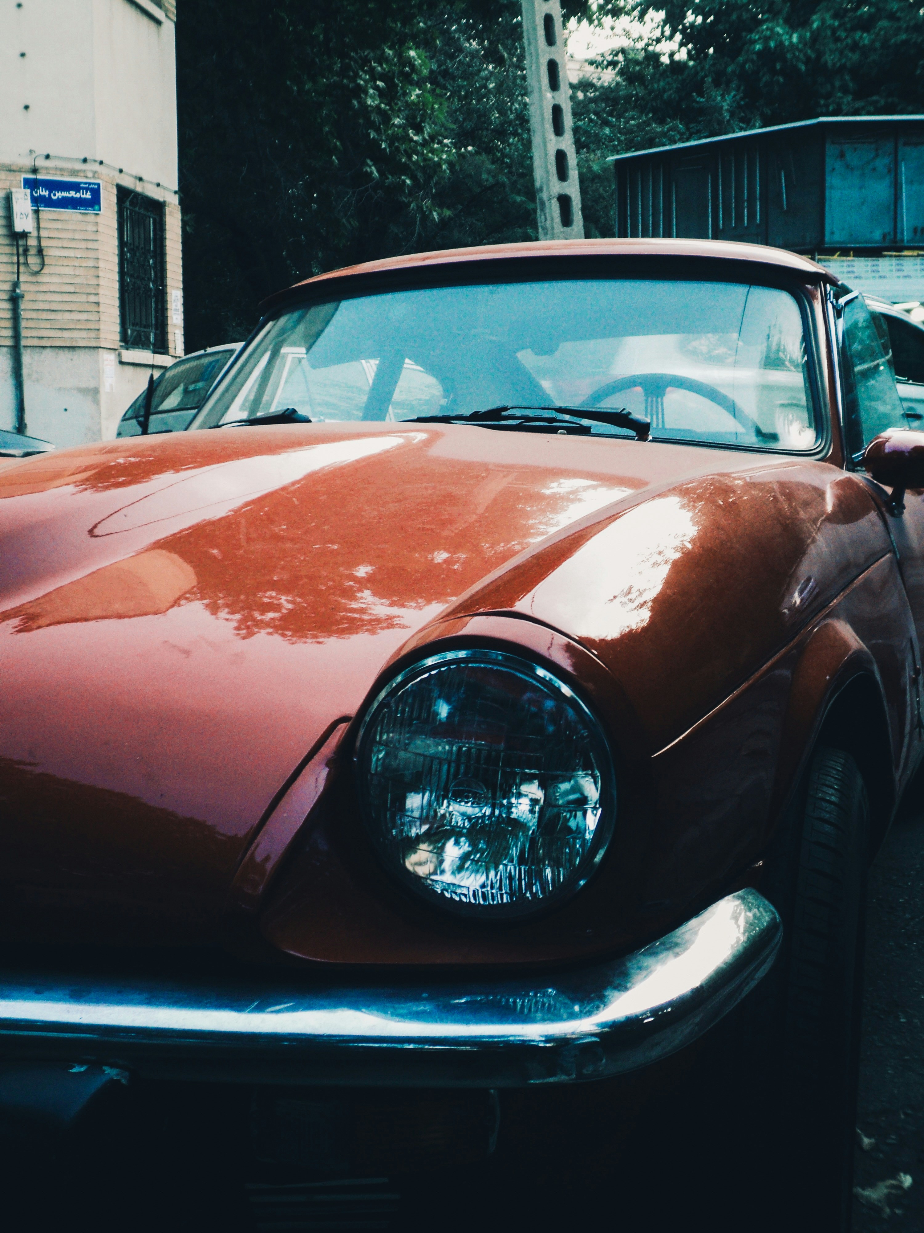 Photo by mdrezajalali