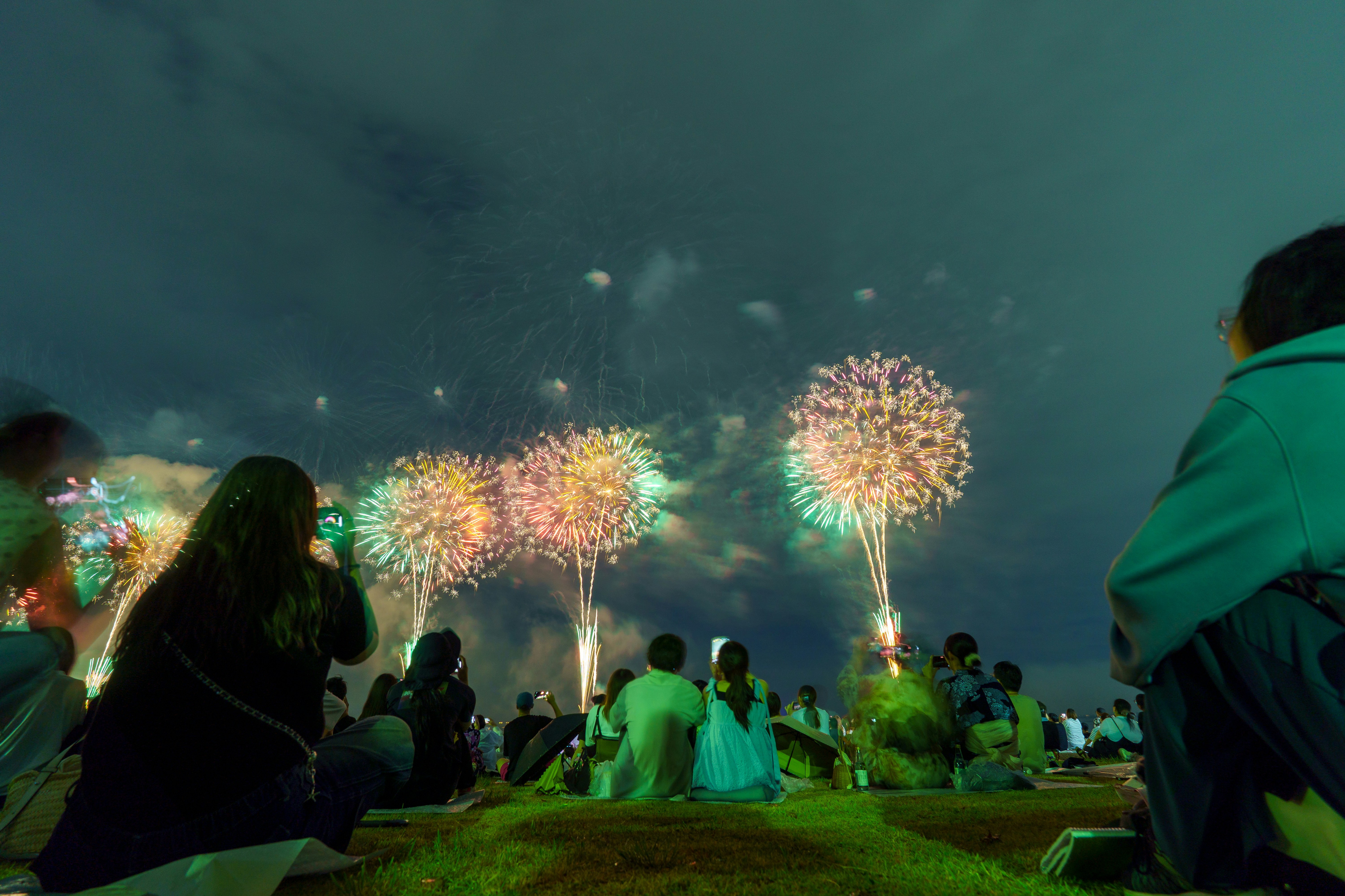 Fireflies glowing in Japanese countryside