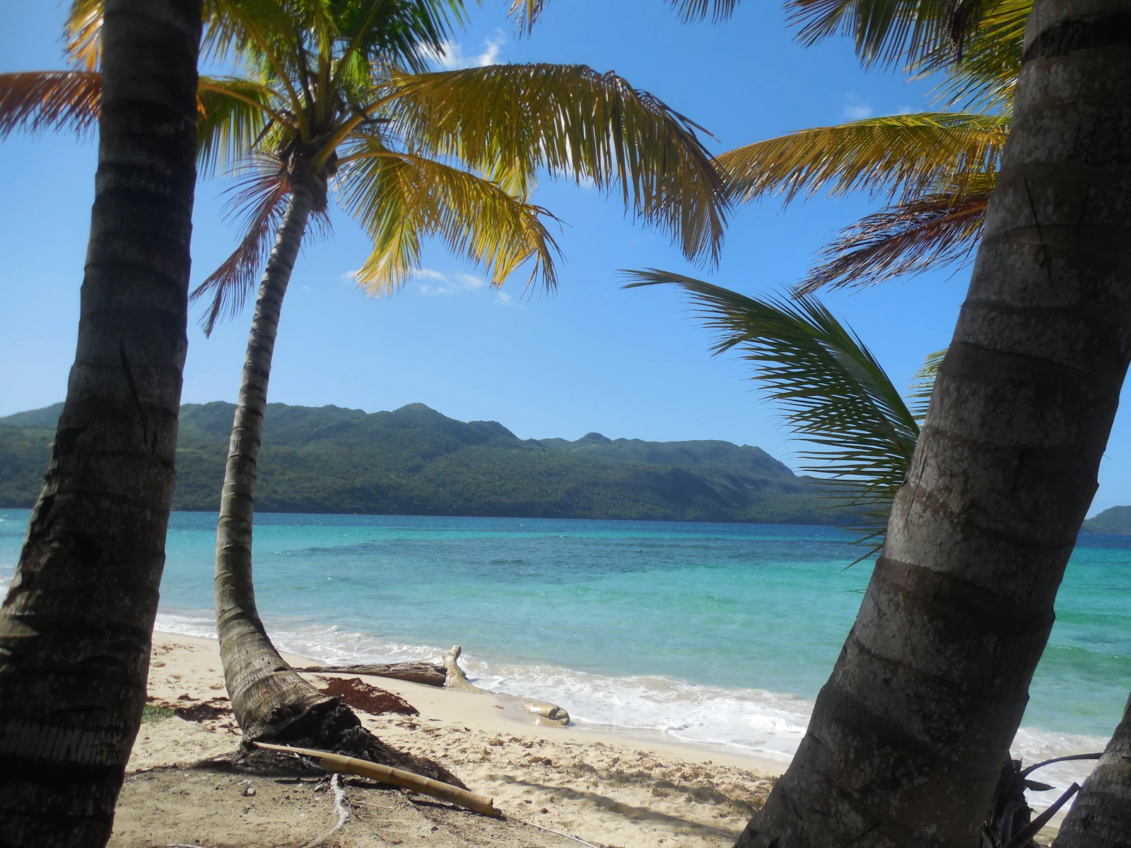 Carlisle Bay