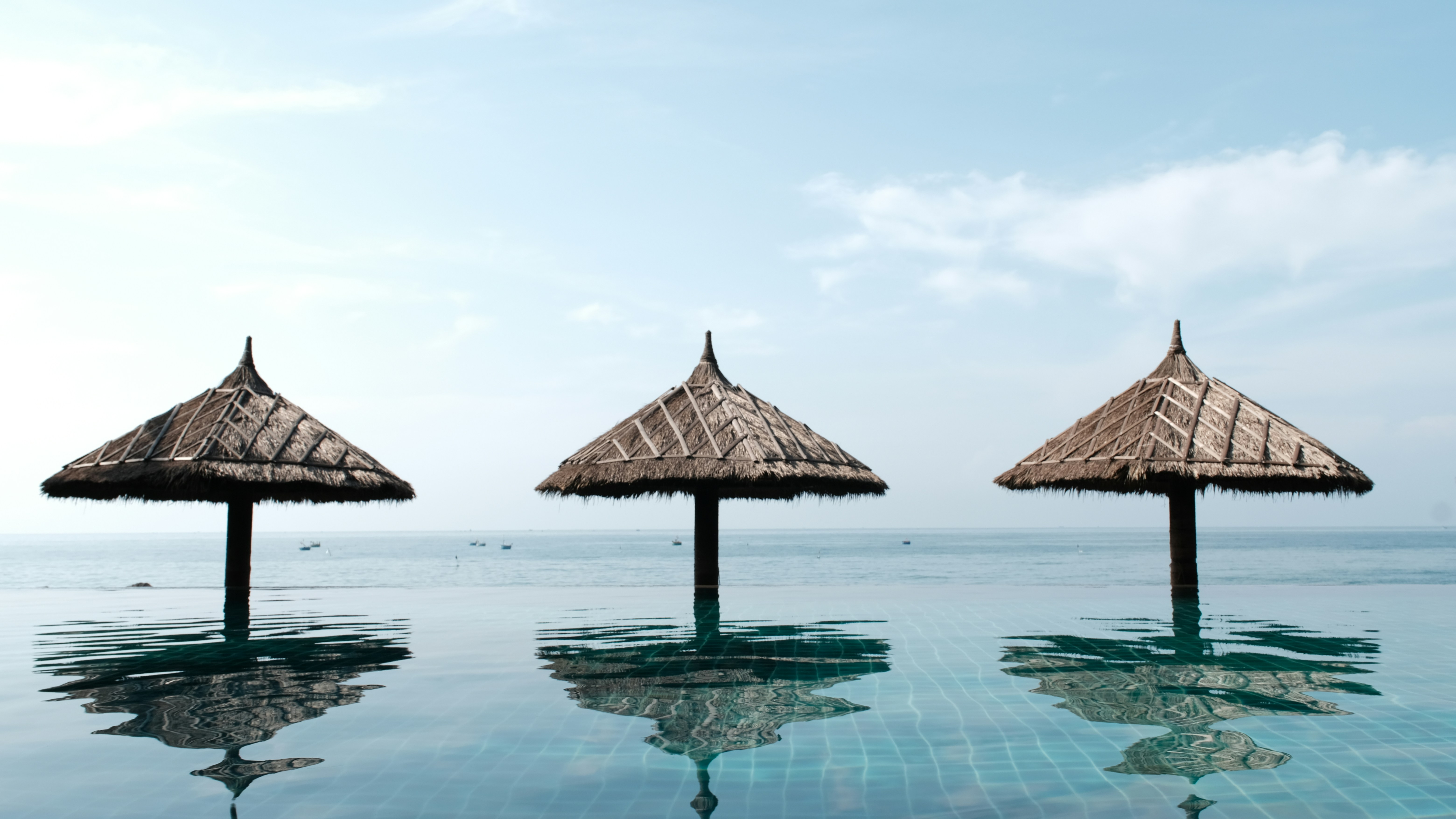 Photo by phongnguyen96