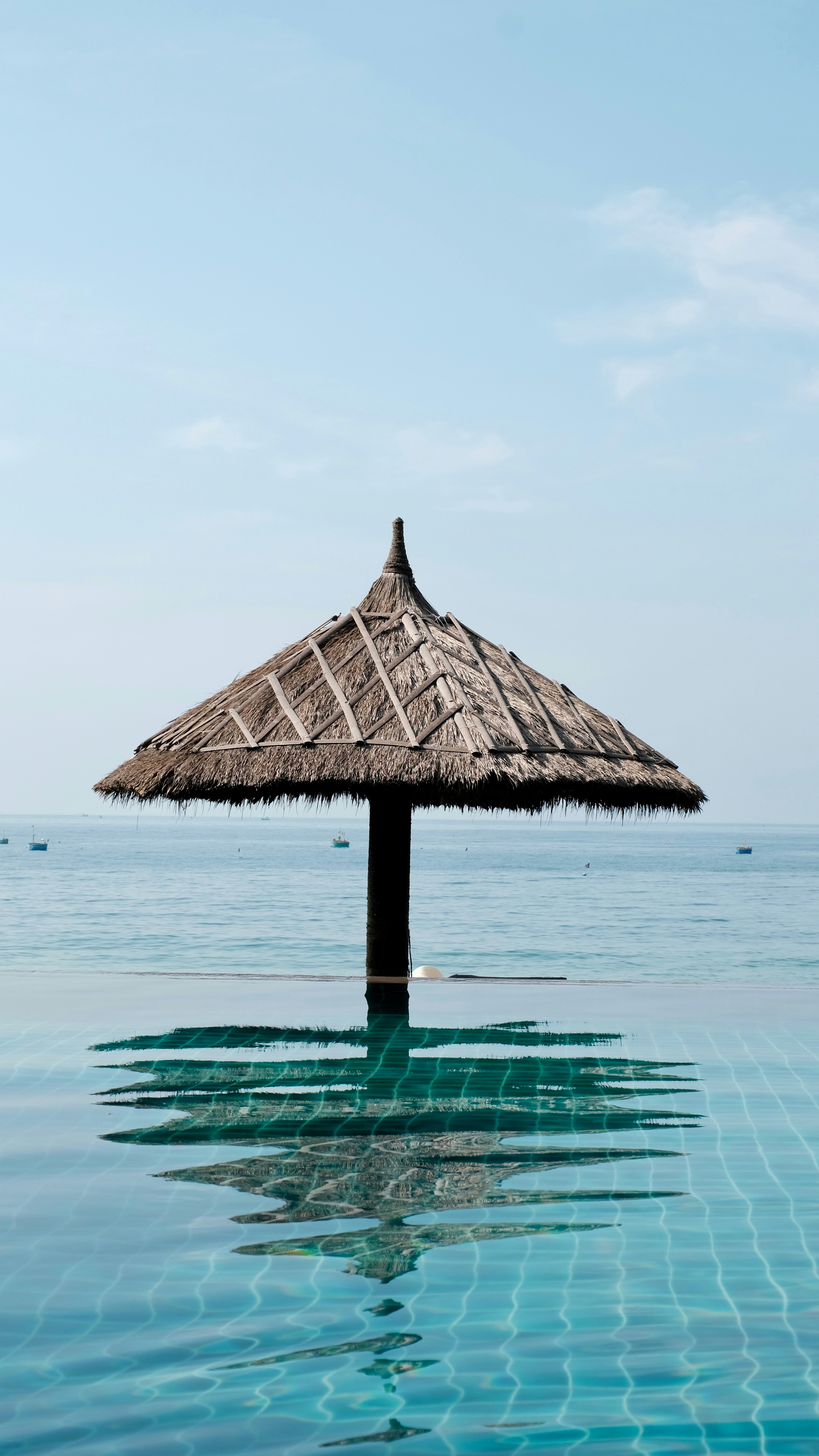 Photo by phongnguyen96