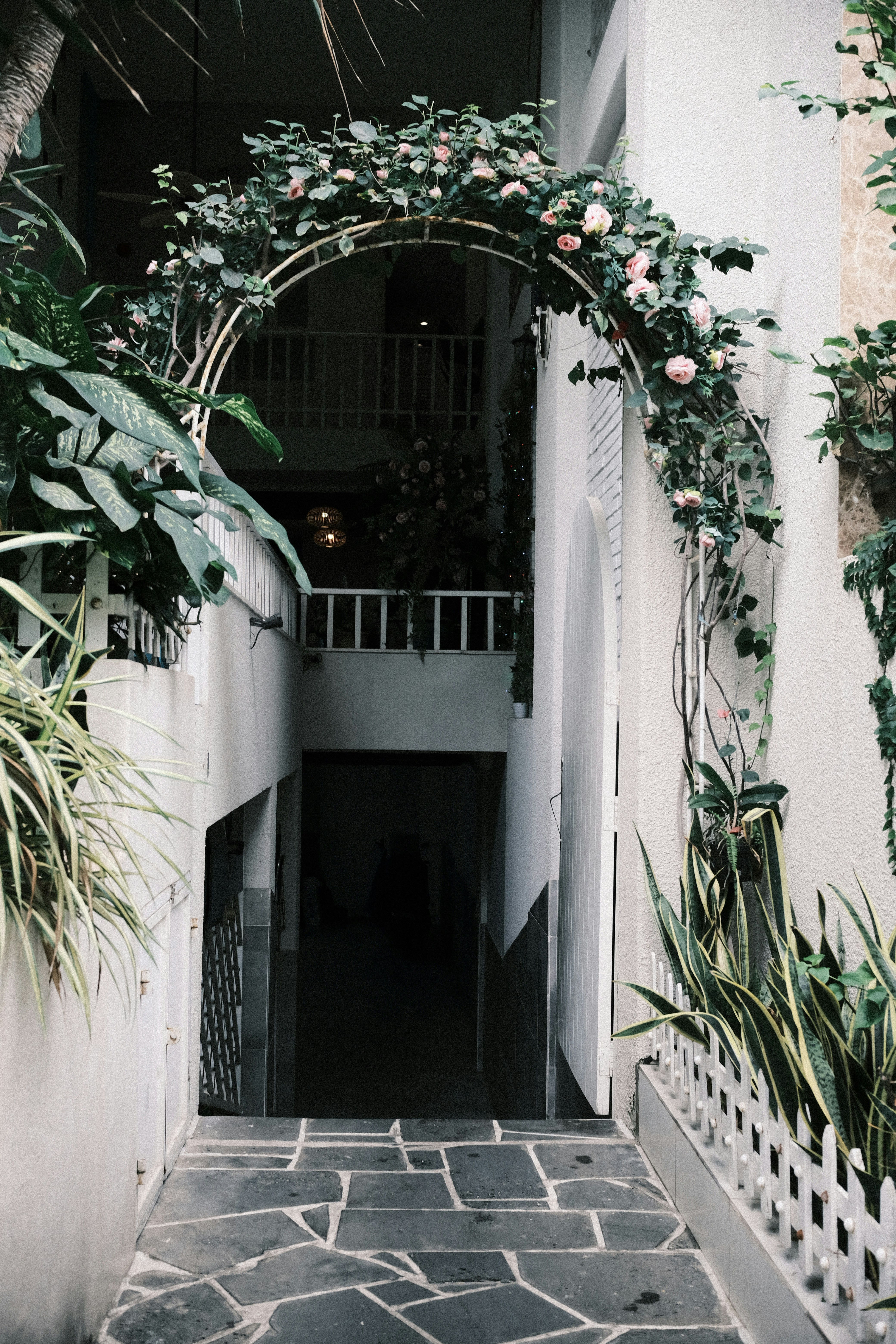 Photo by phongnguyen96