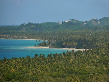 Tropical coastline with turquoise water and lush palm trees.