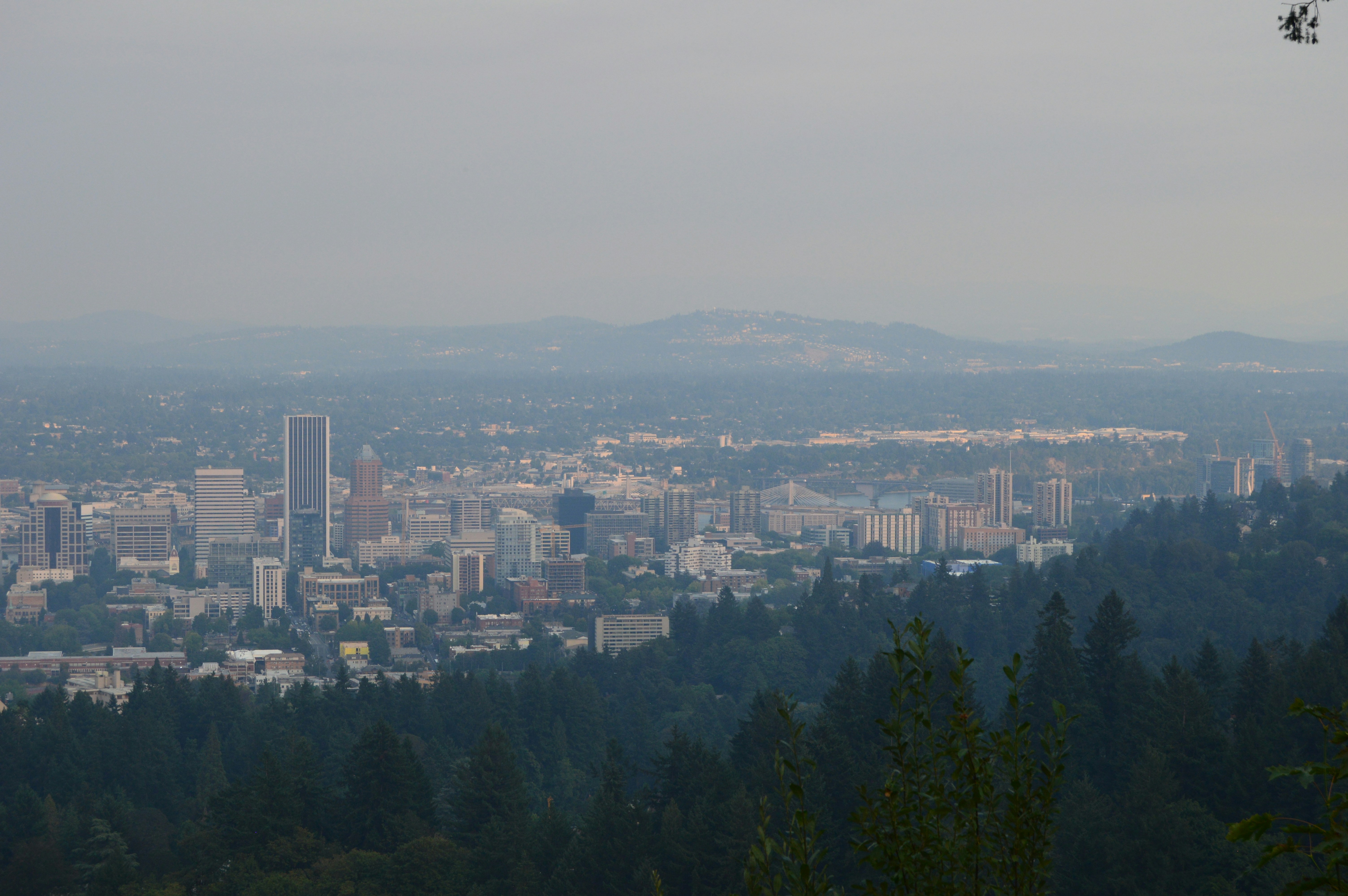 Top Trusted Brands and local Stores to Try in Portland Eugene and Bend