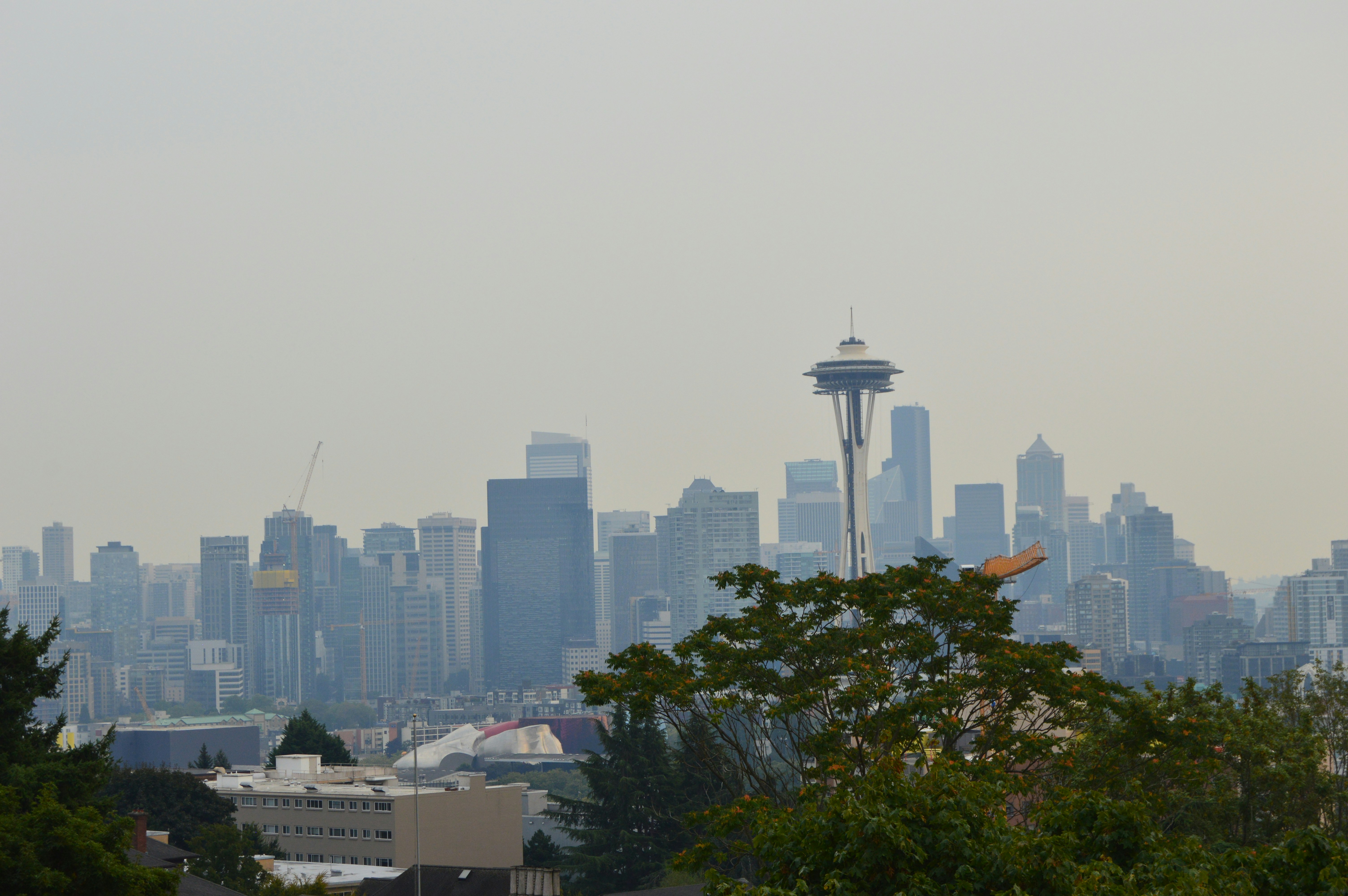 Seattle skyline from a distance - homes for sale madison park seattle