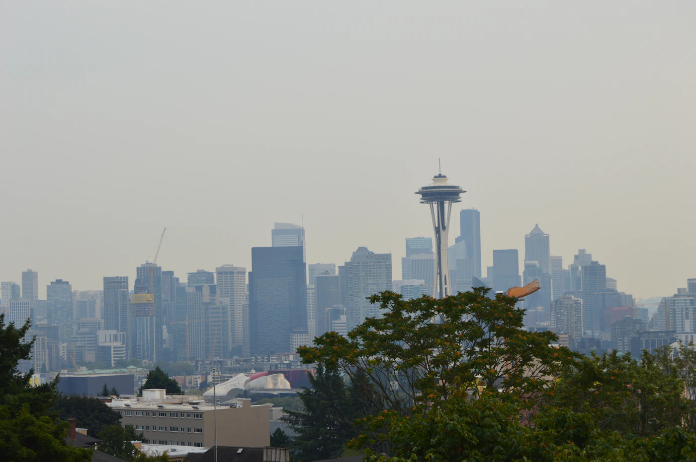 Seattle skyline and Space Needle