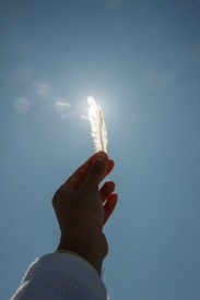 Hand holding a feather against the bright sun