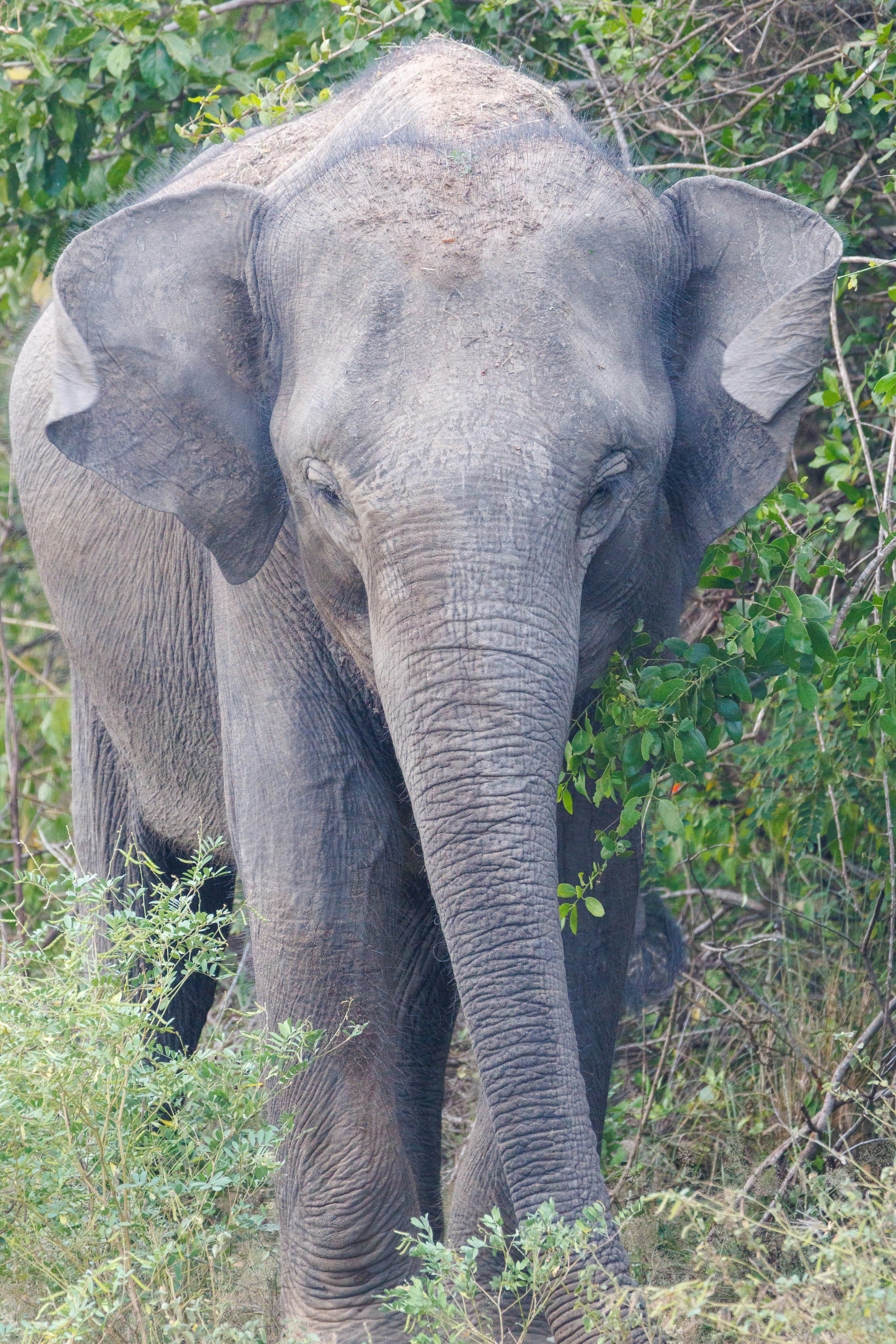 Photo by stockbirken