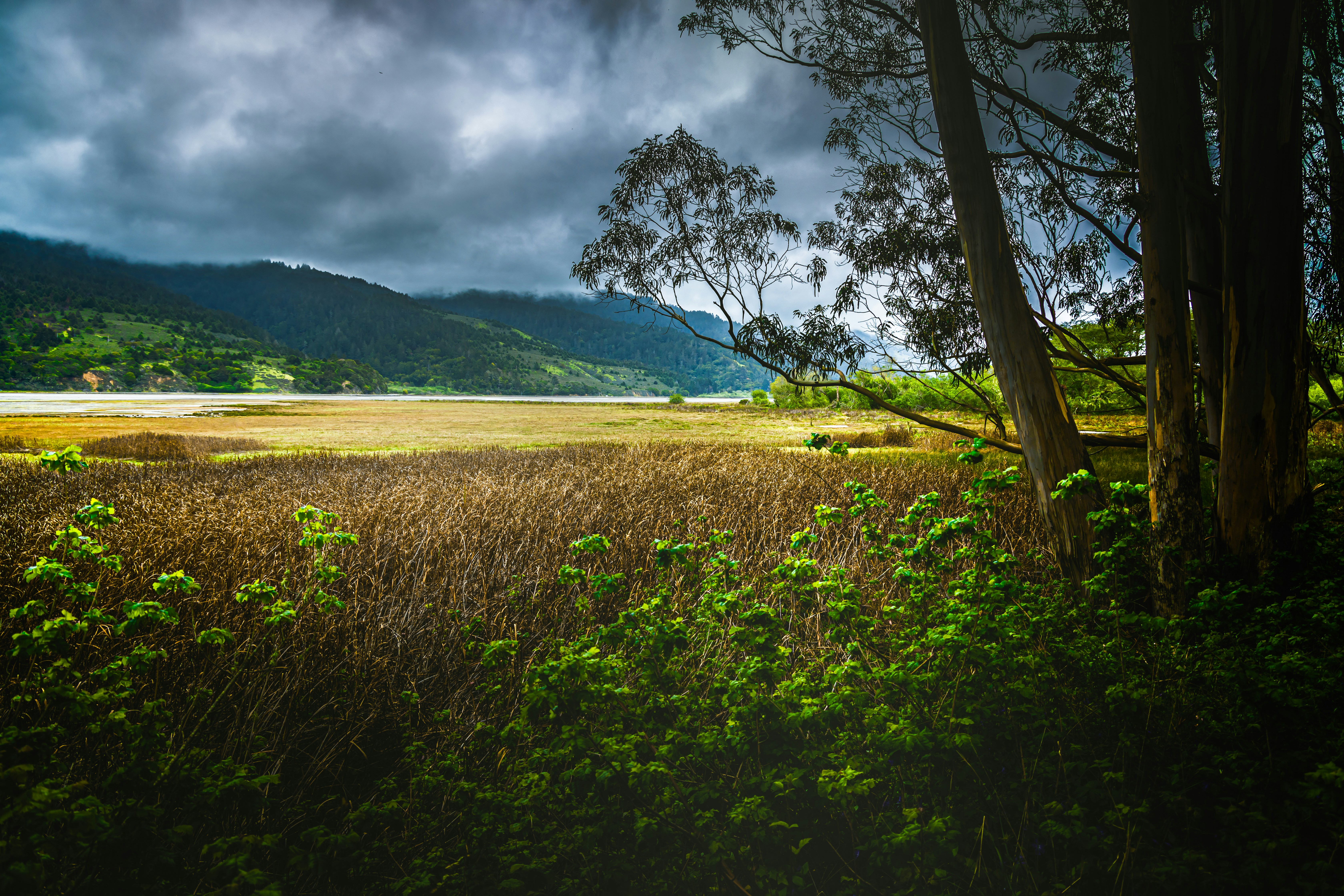 Photo by canon_guy84