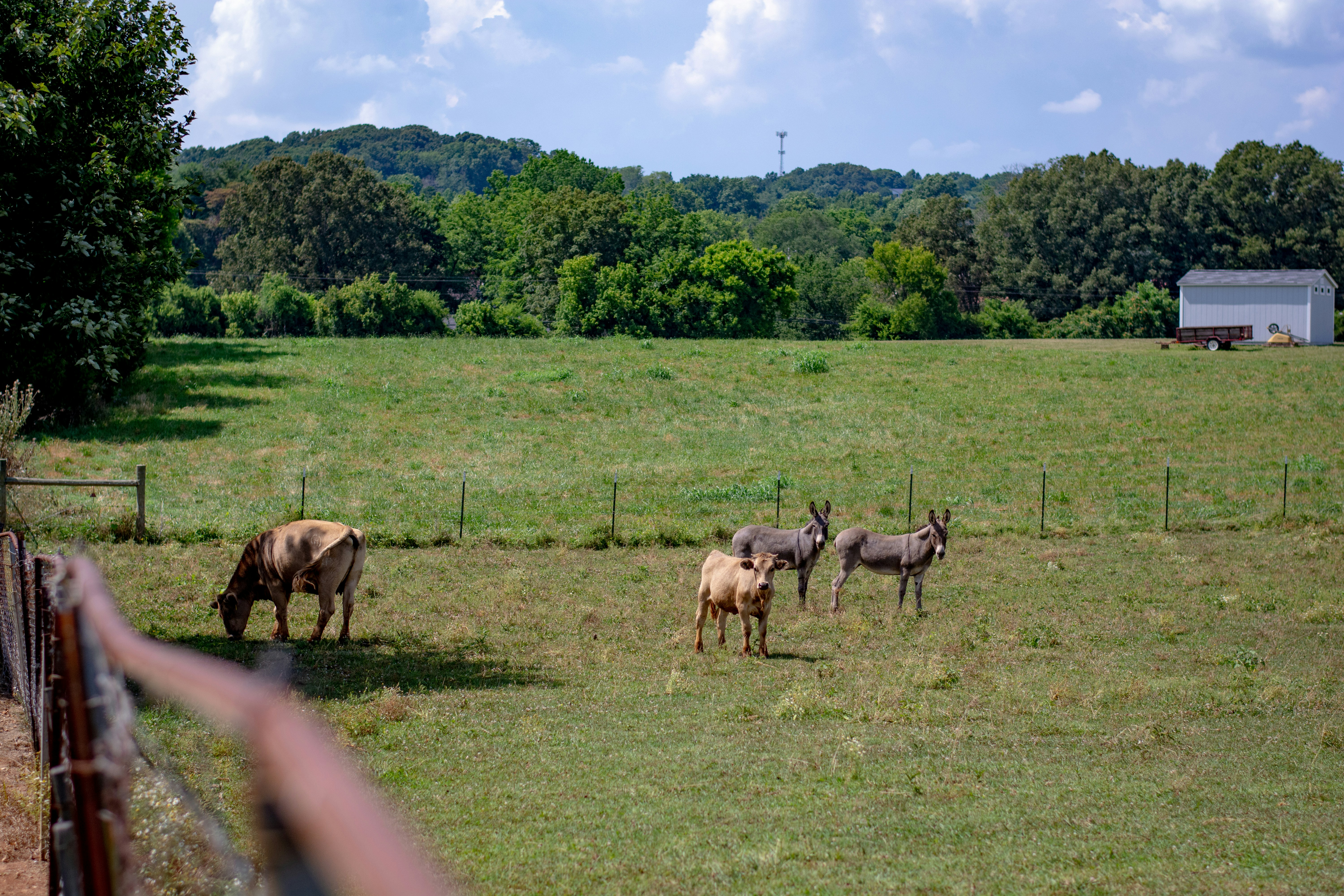 Photo by jplphotography