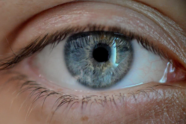 Close-up of a blue human eye with detailed iris