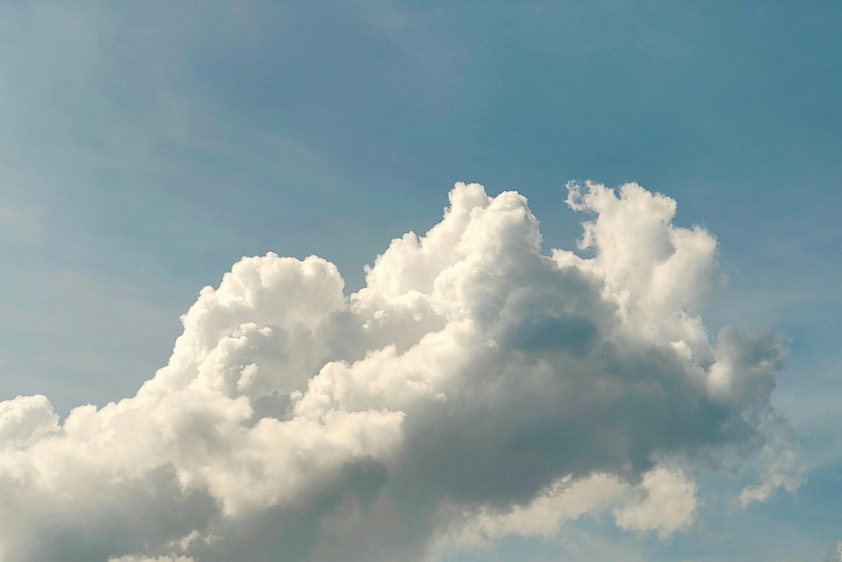 Photo by thomaskinto