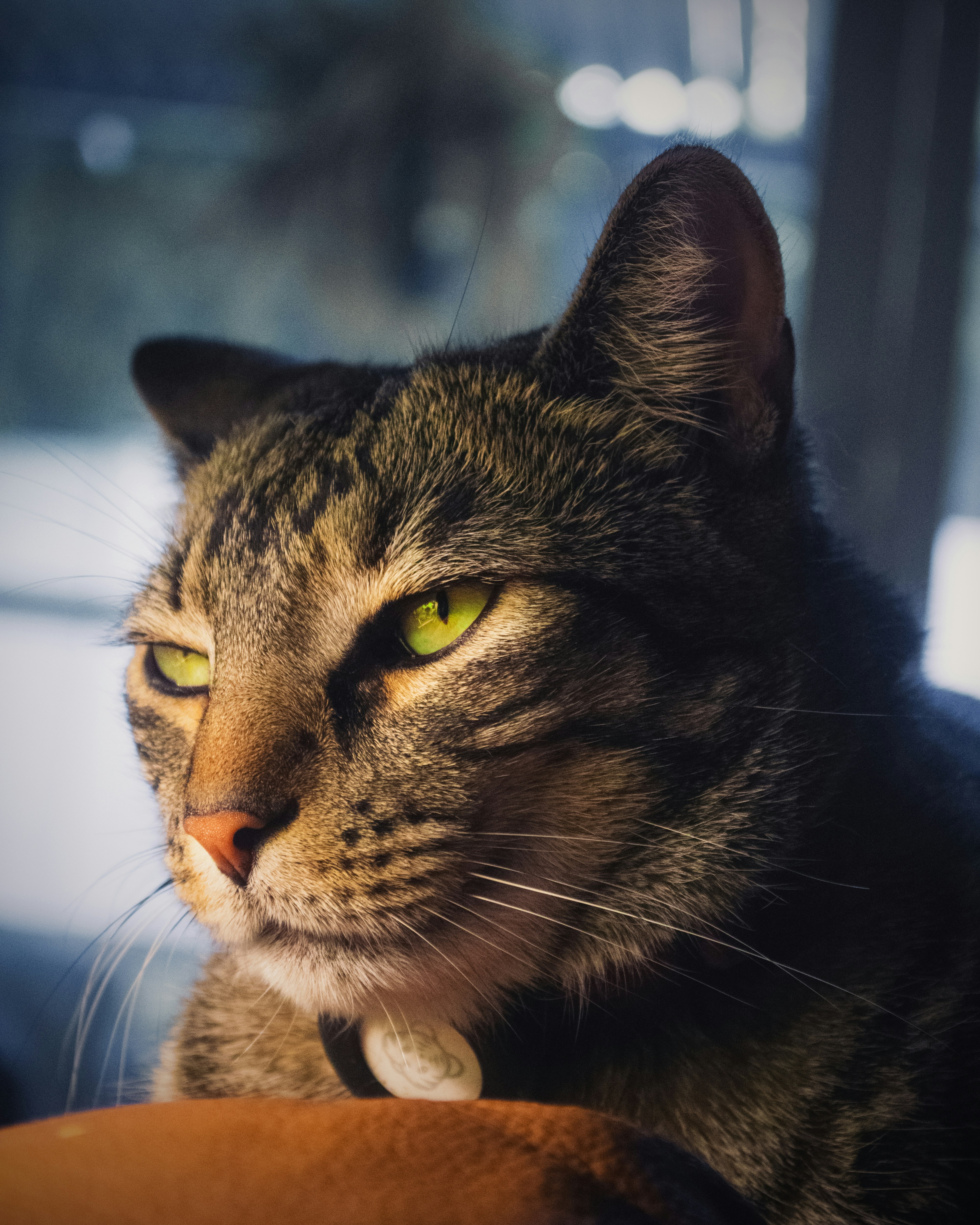 Photo by esteban__chinchilla