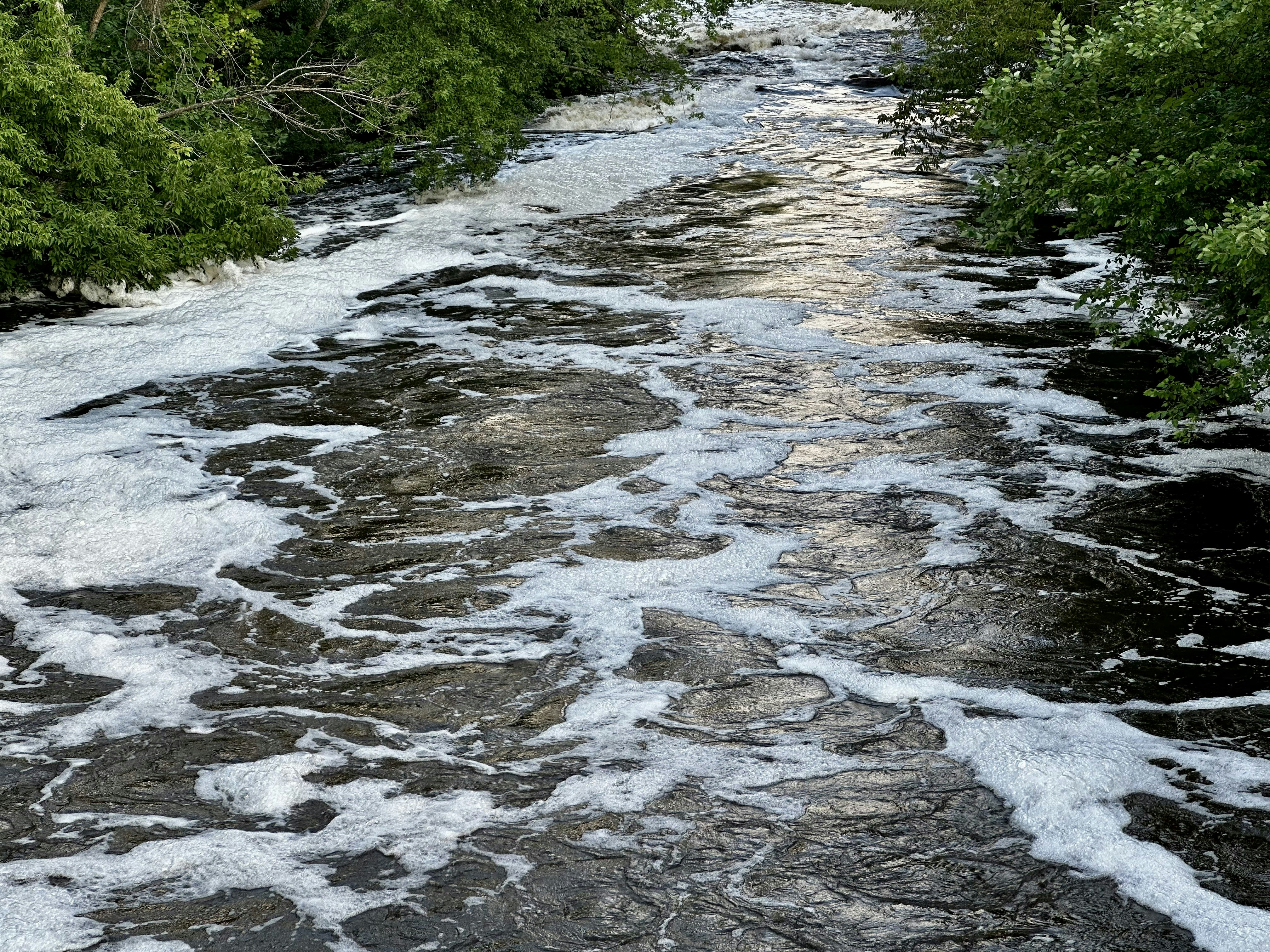 Photo by midkiffaries