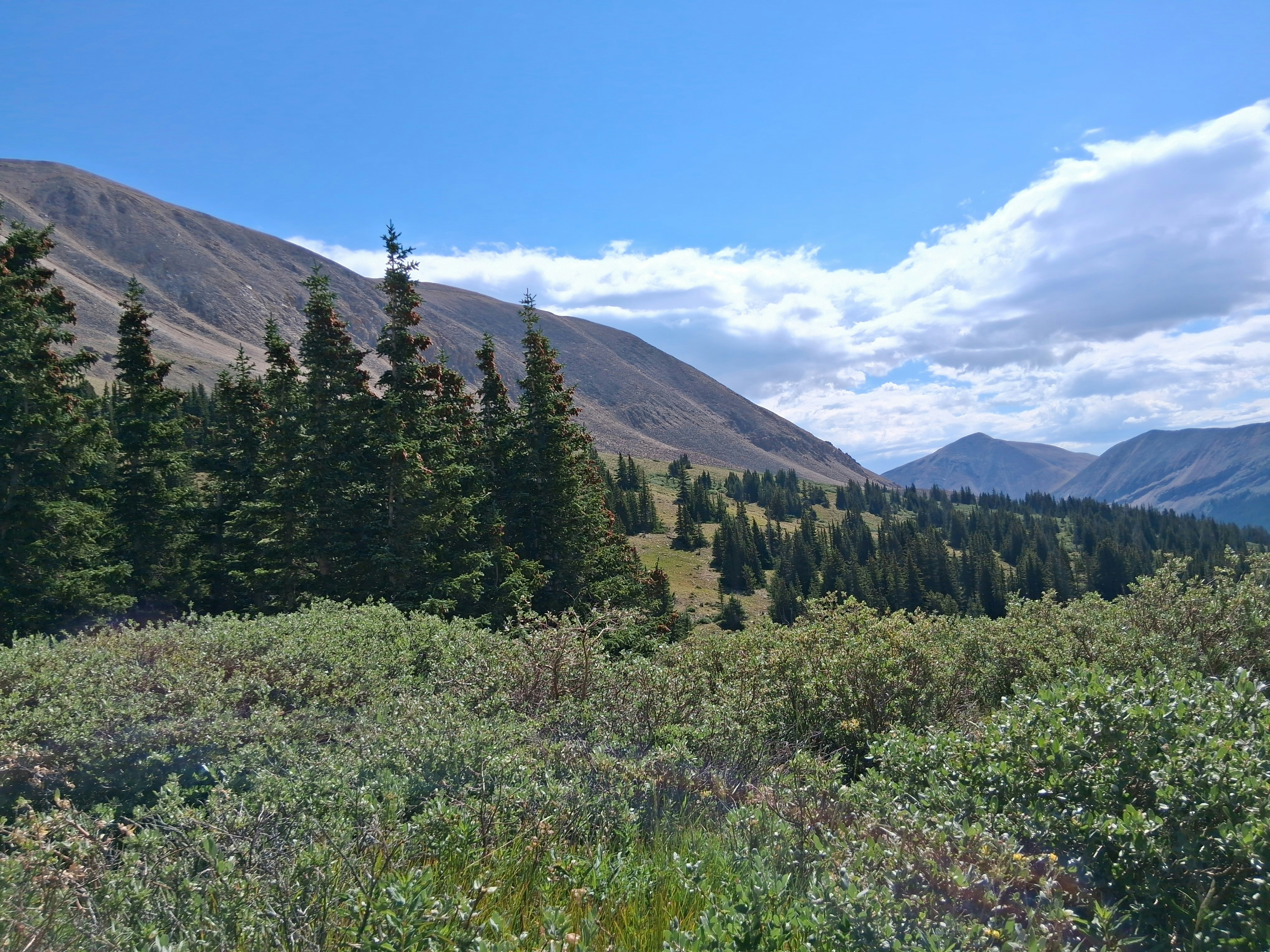 Photo by spaceguyiguess