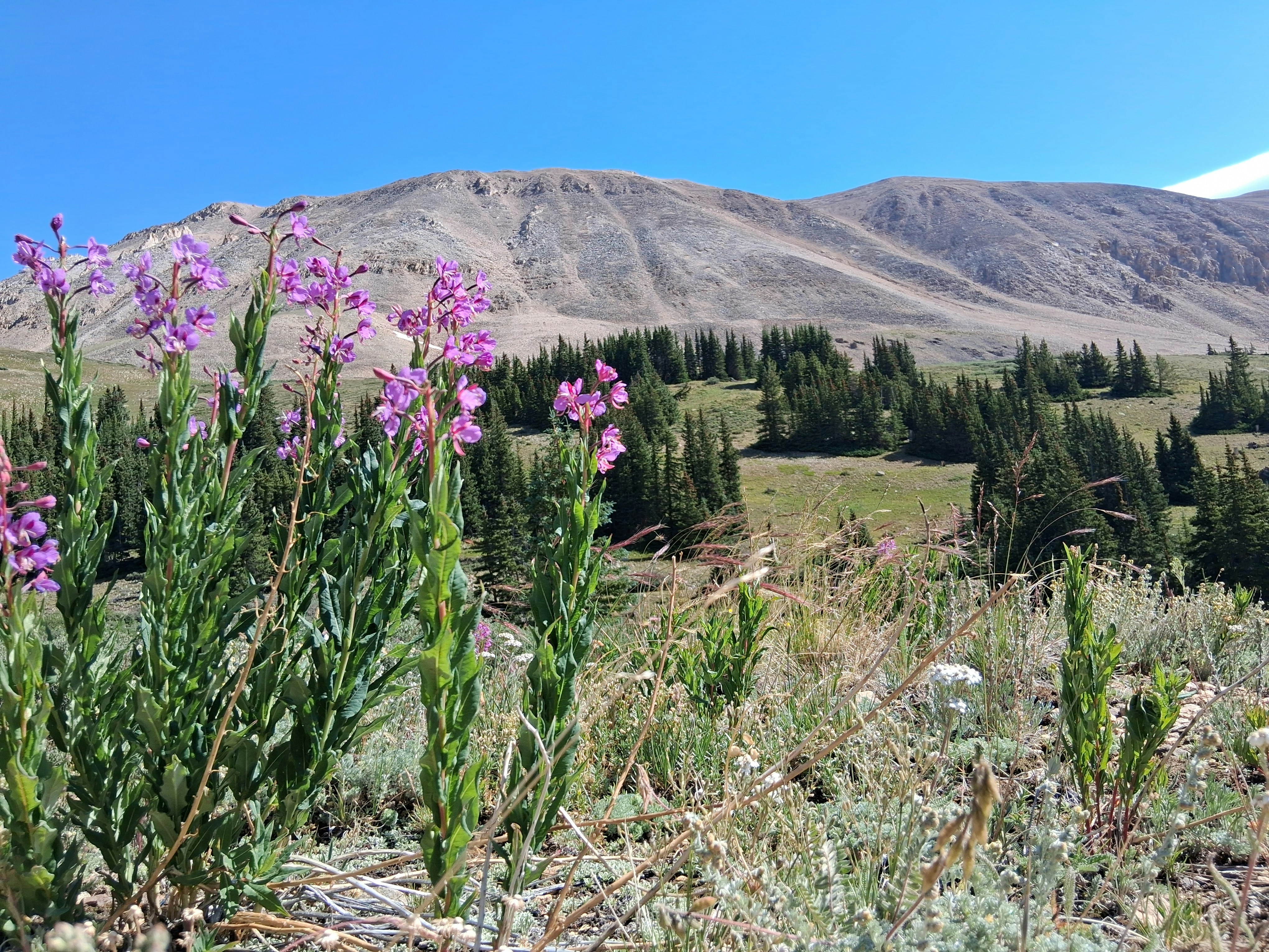 Photo by spaceguyiguess