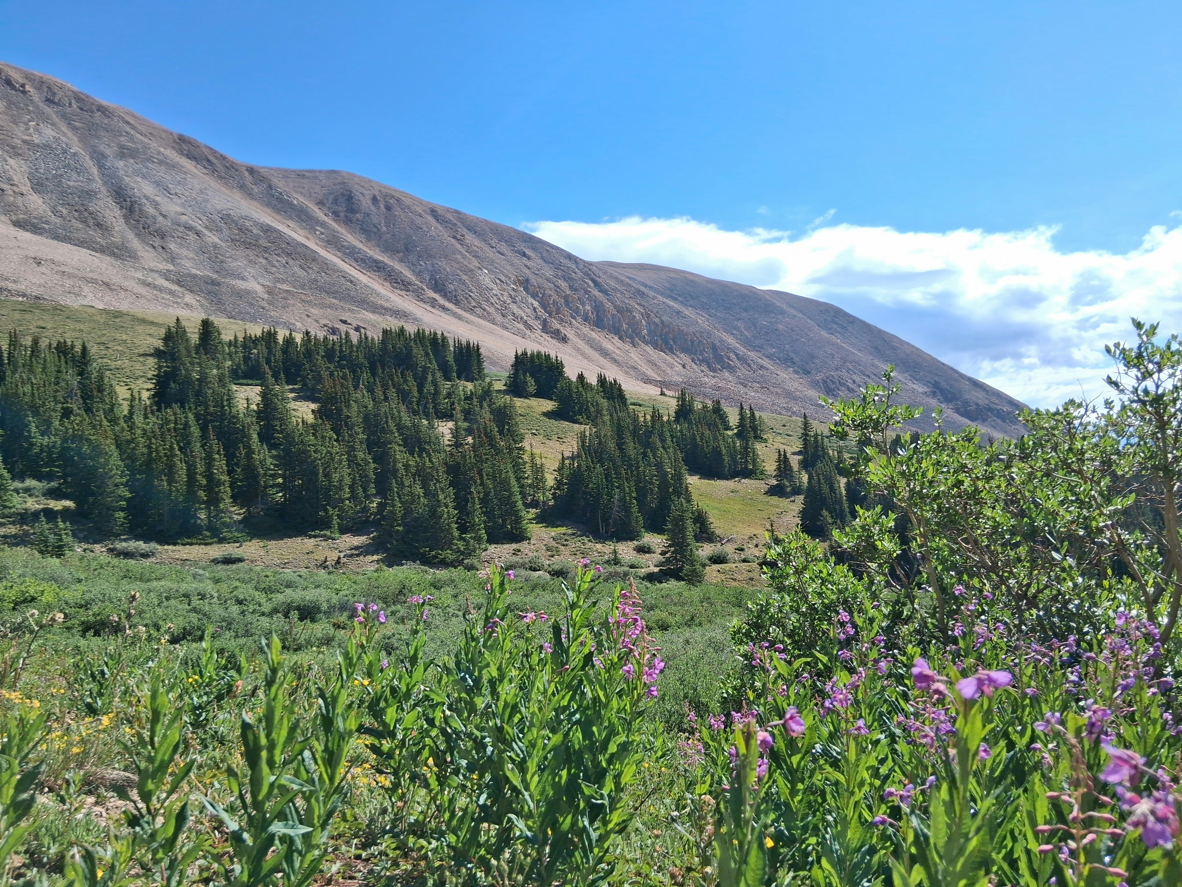 Photo by spaceguyiguess