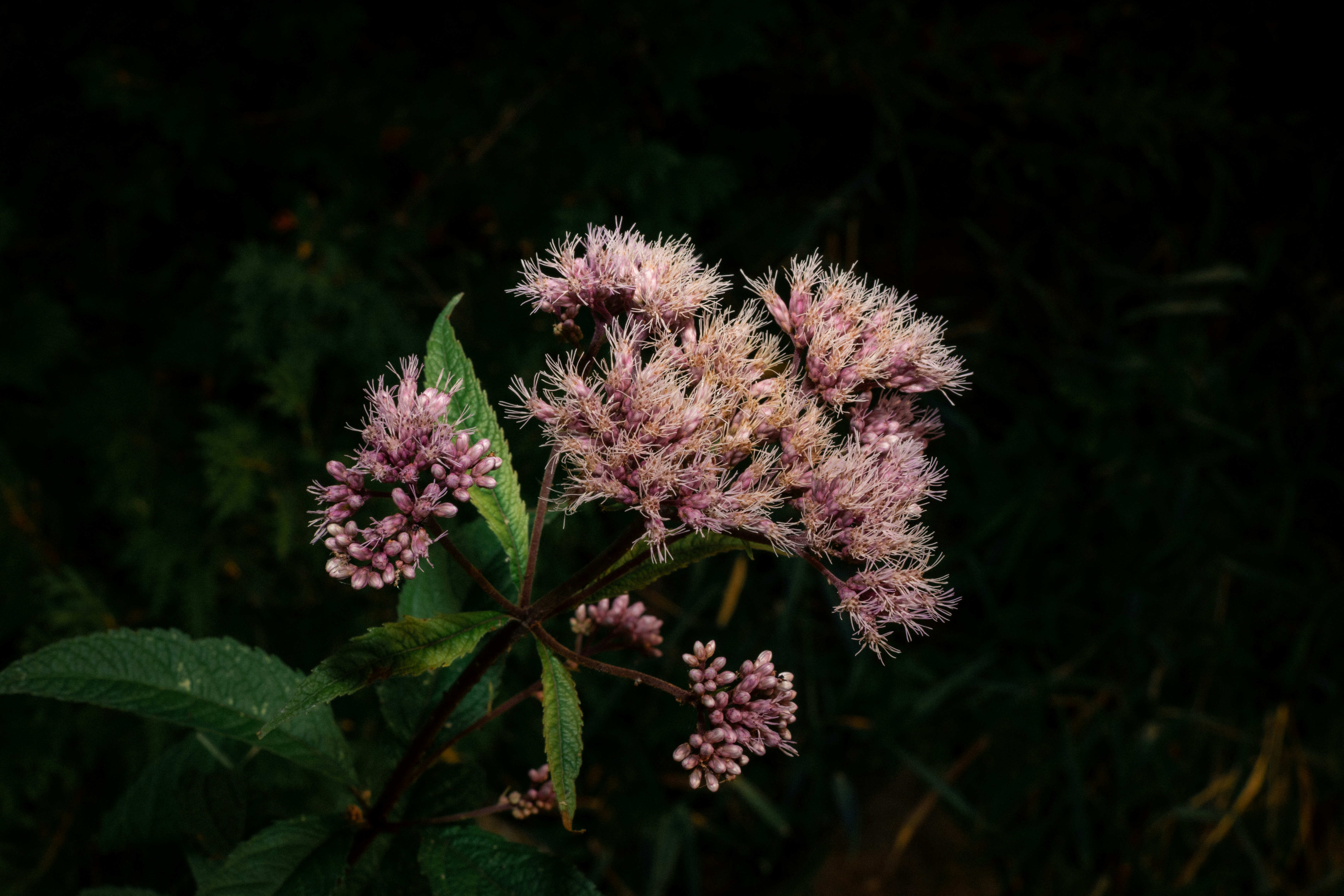 Photo by hashcode_error