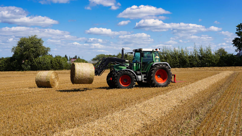 Rhodes Grass bales
