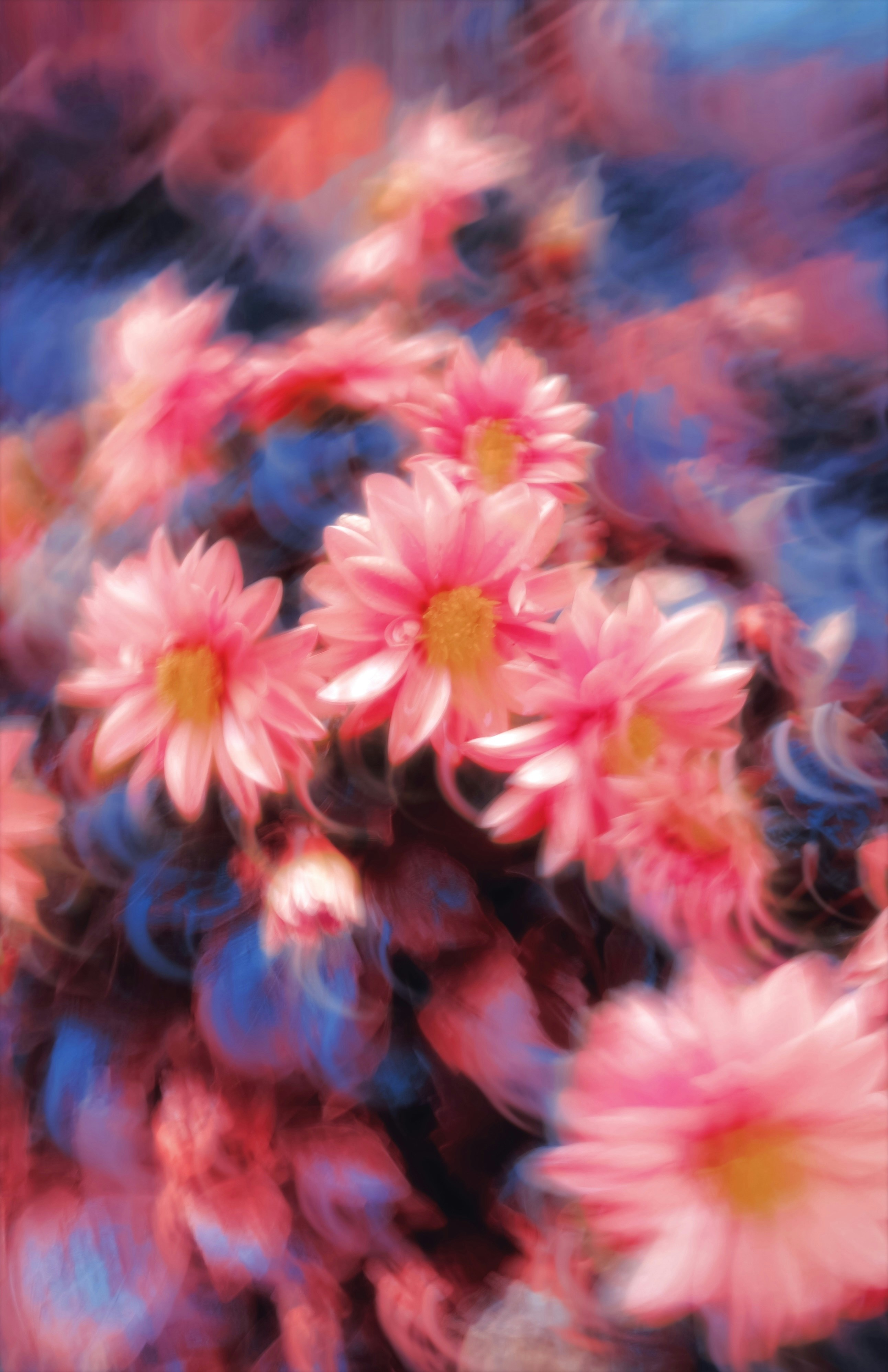 Photo by eugene_golovesov