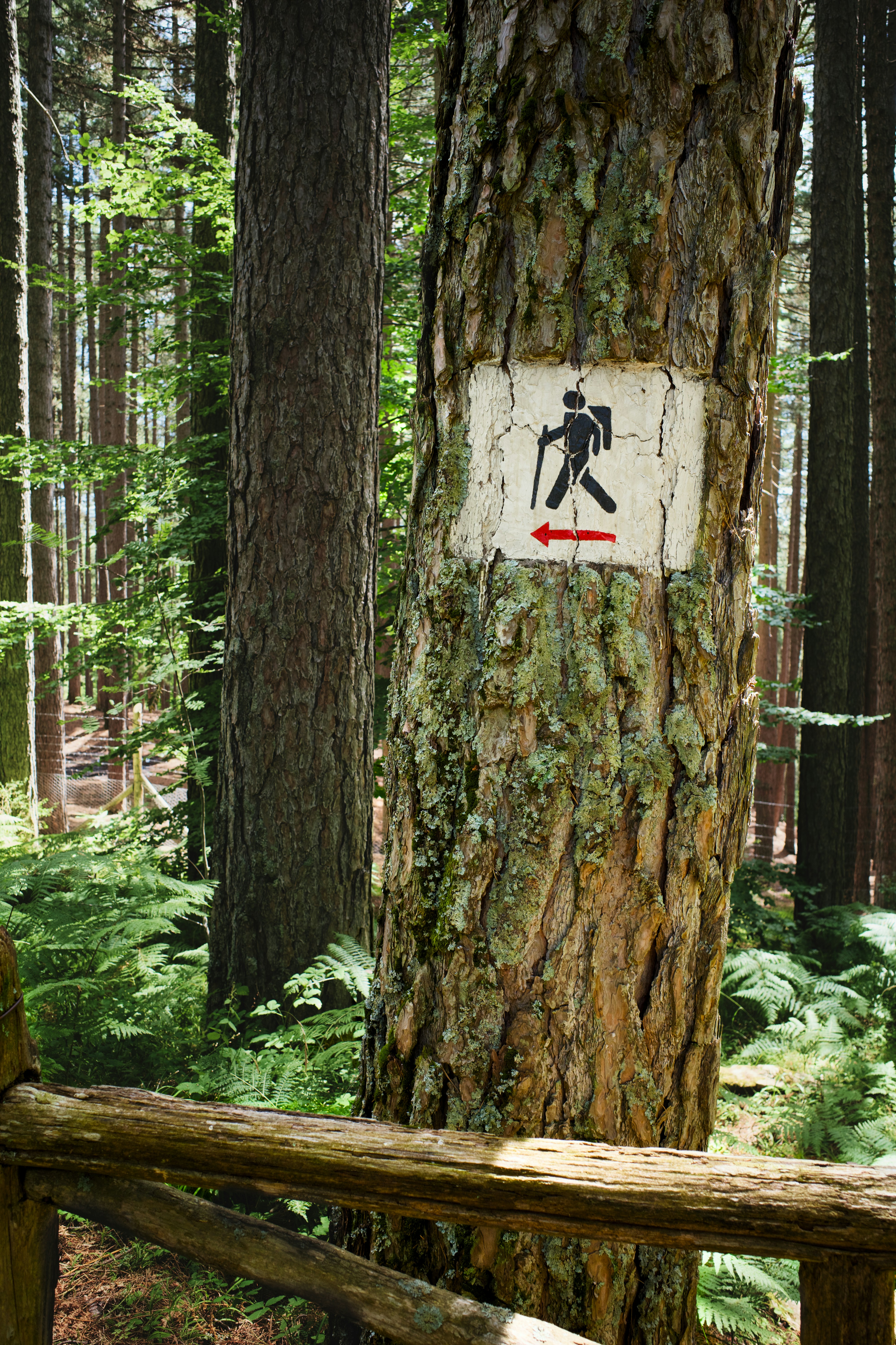 Photo by alexpagnotta