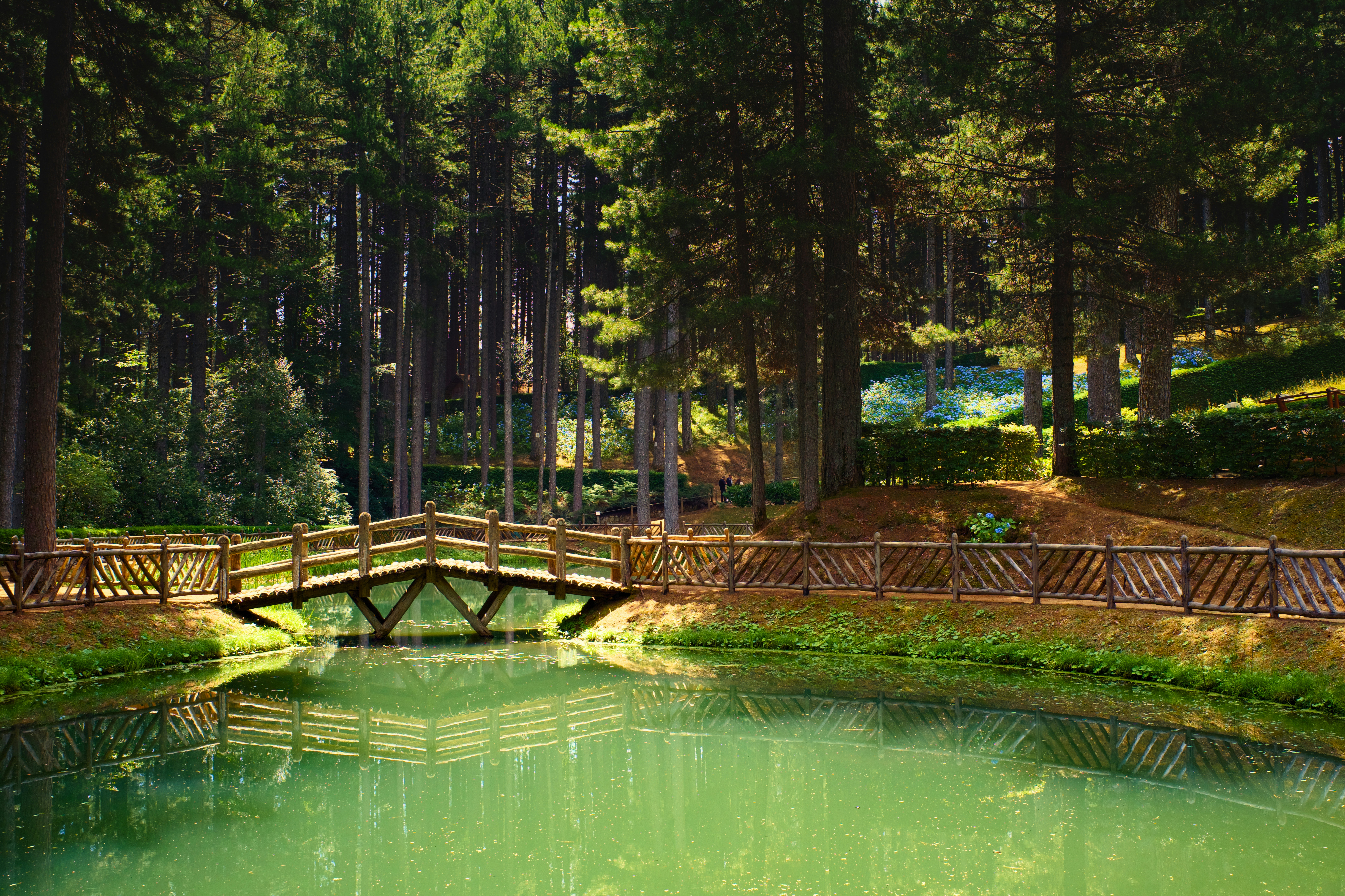 Photo by alexpagnotta