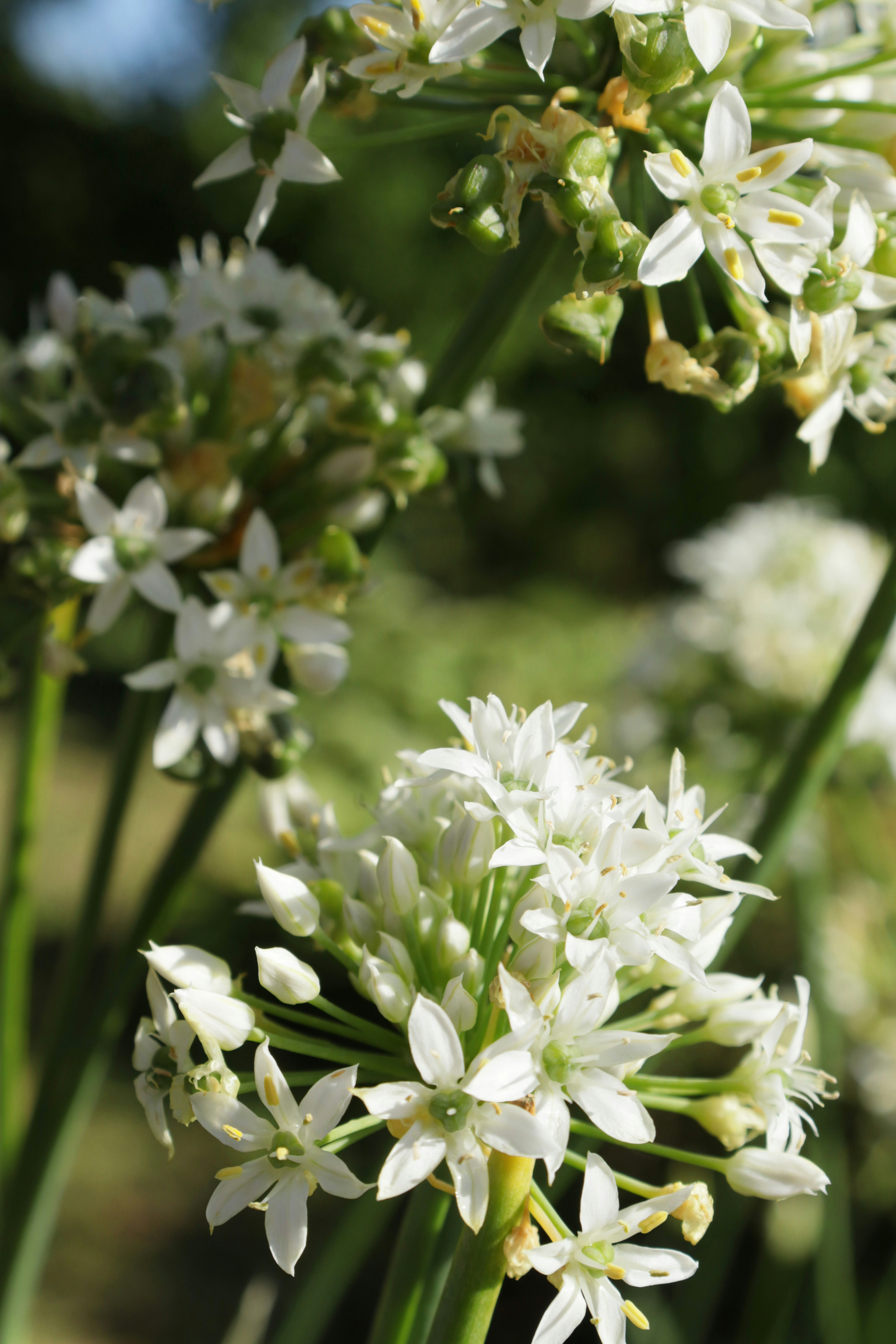 Photo by bored_mongoose