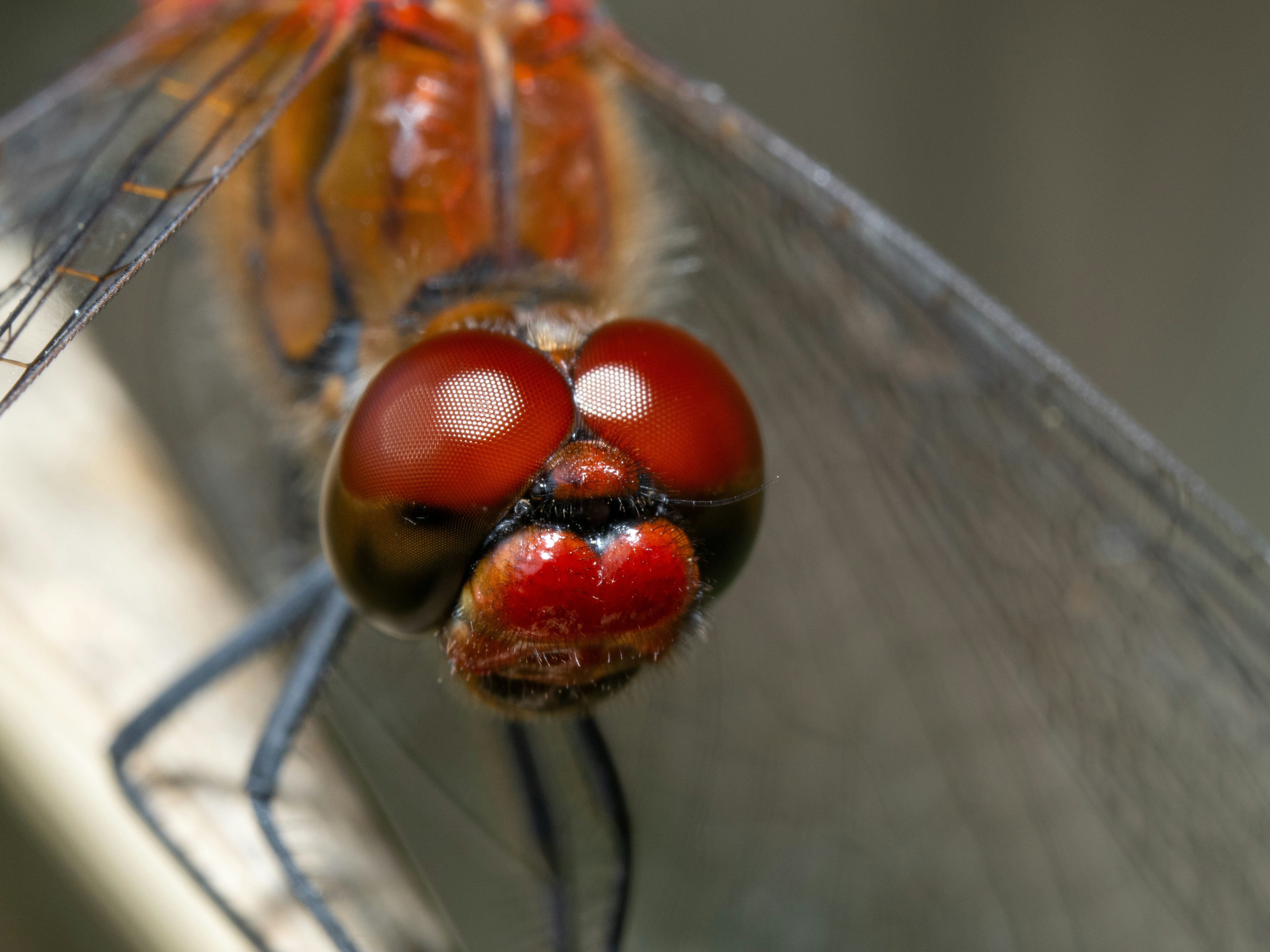 Photo by Haydee Ceballos on Unsplash