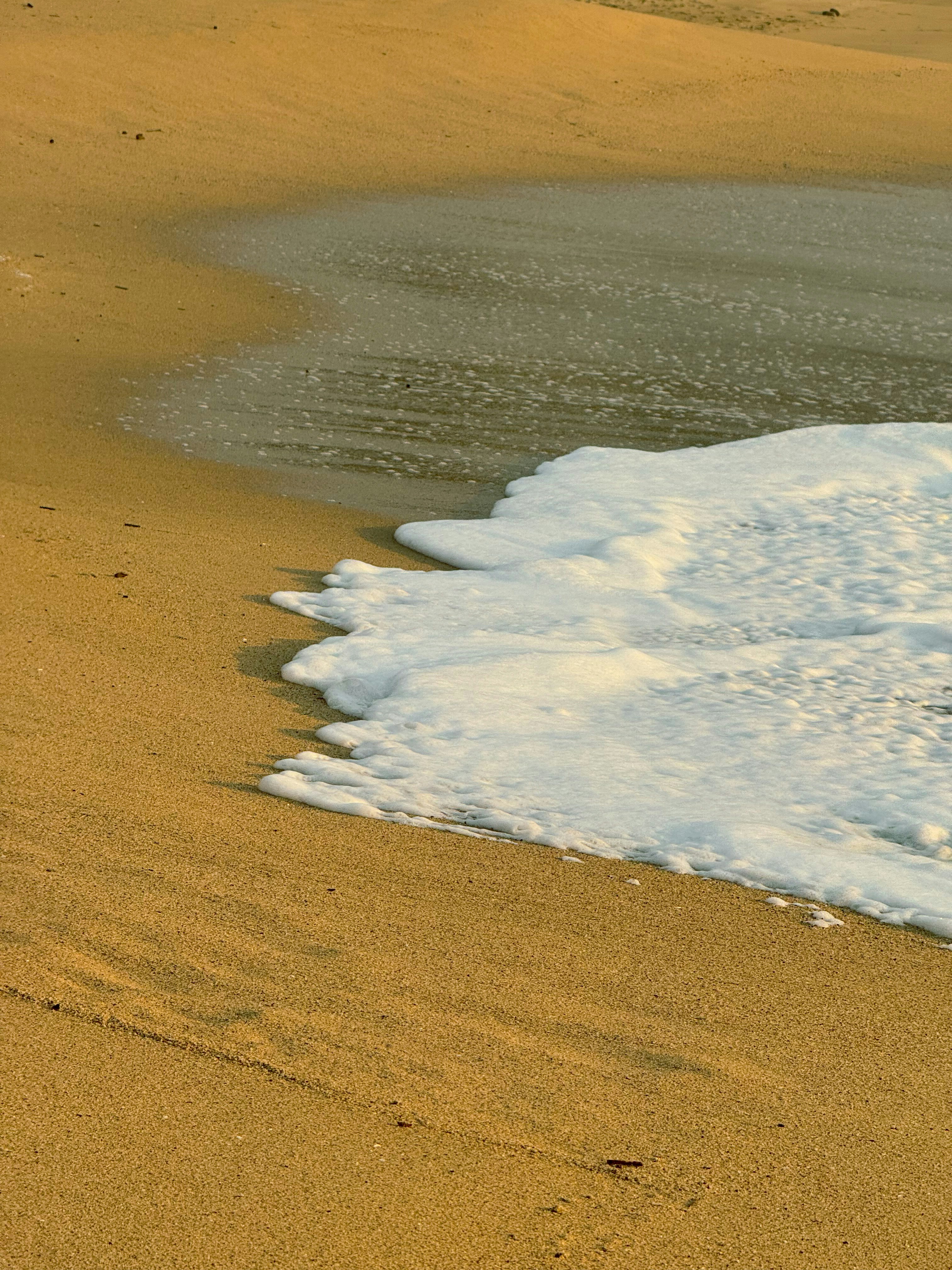 Photo by leonardodbi