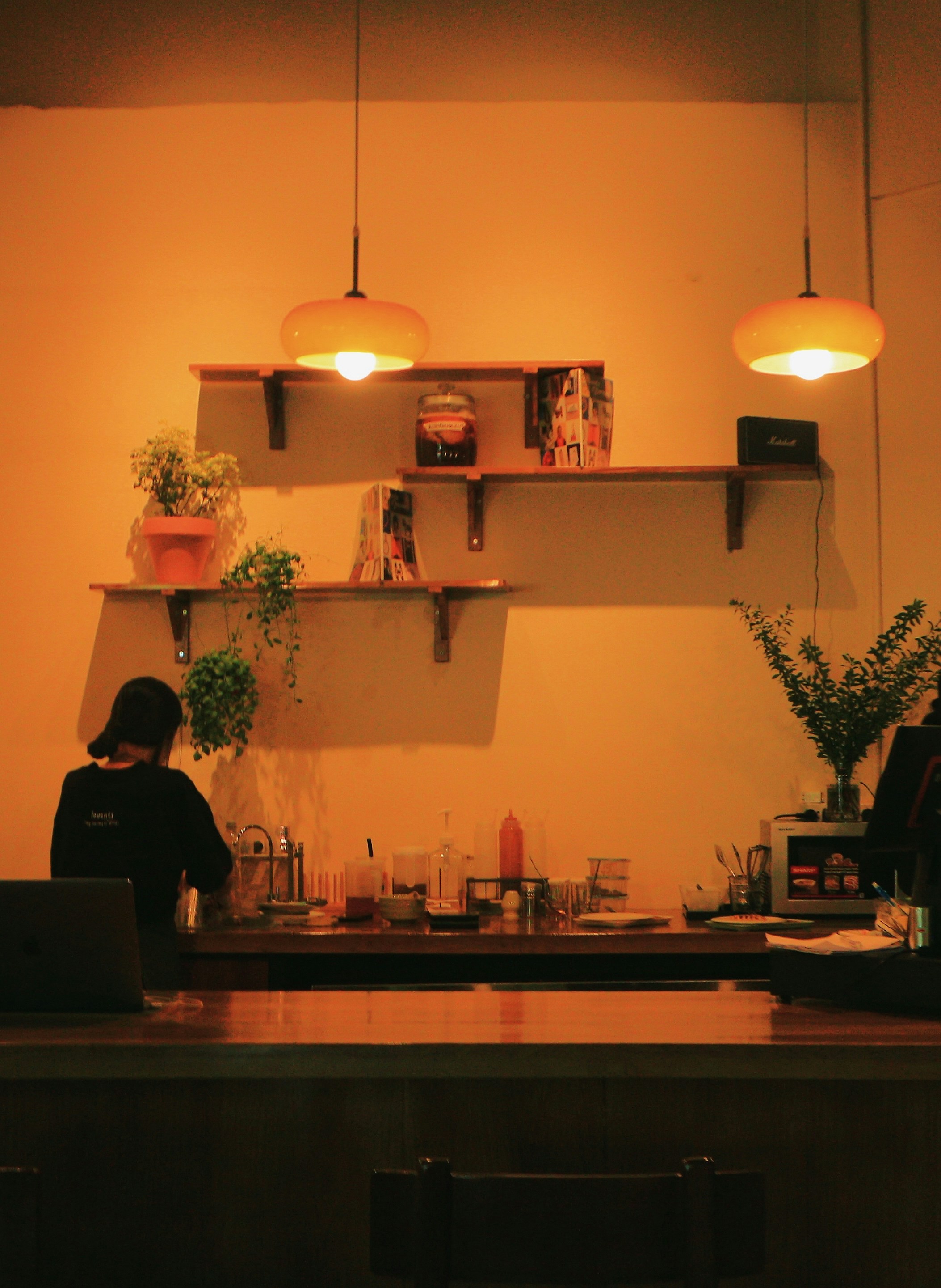 Person working behind a counter with shelves above.