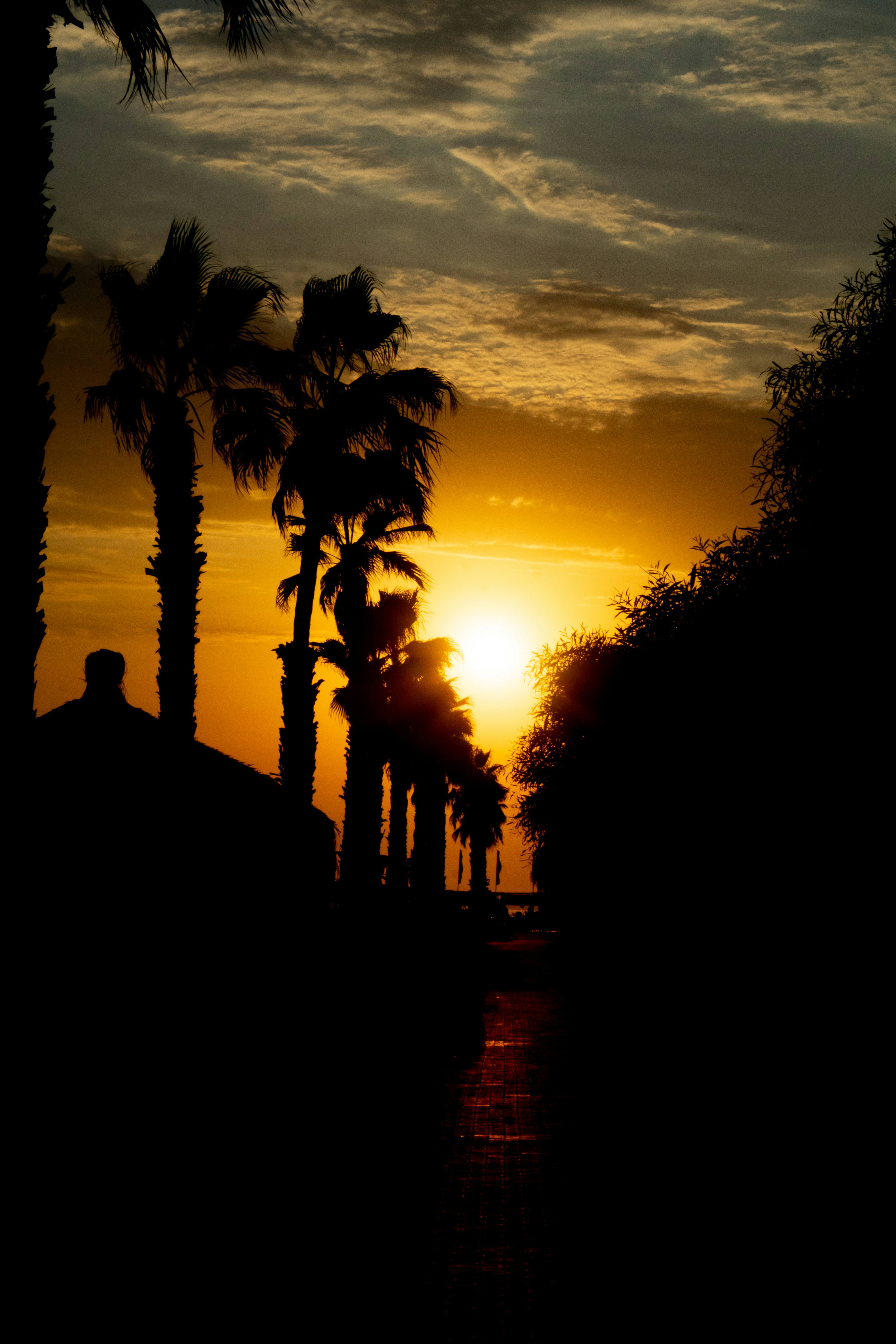 Photo by gasparmarton