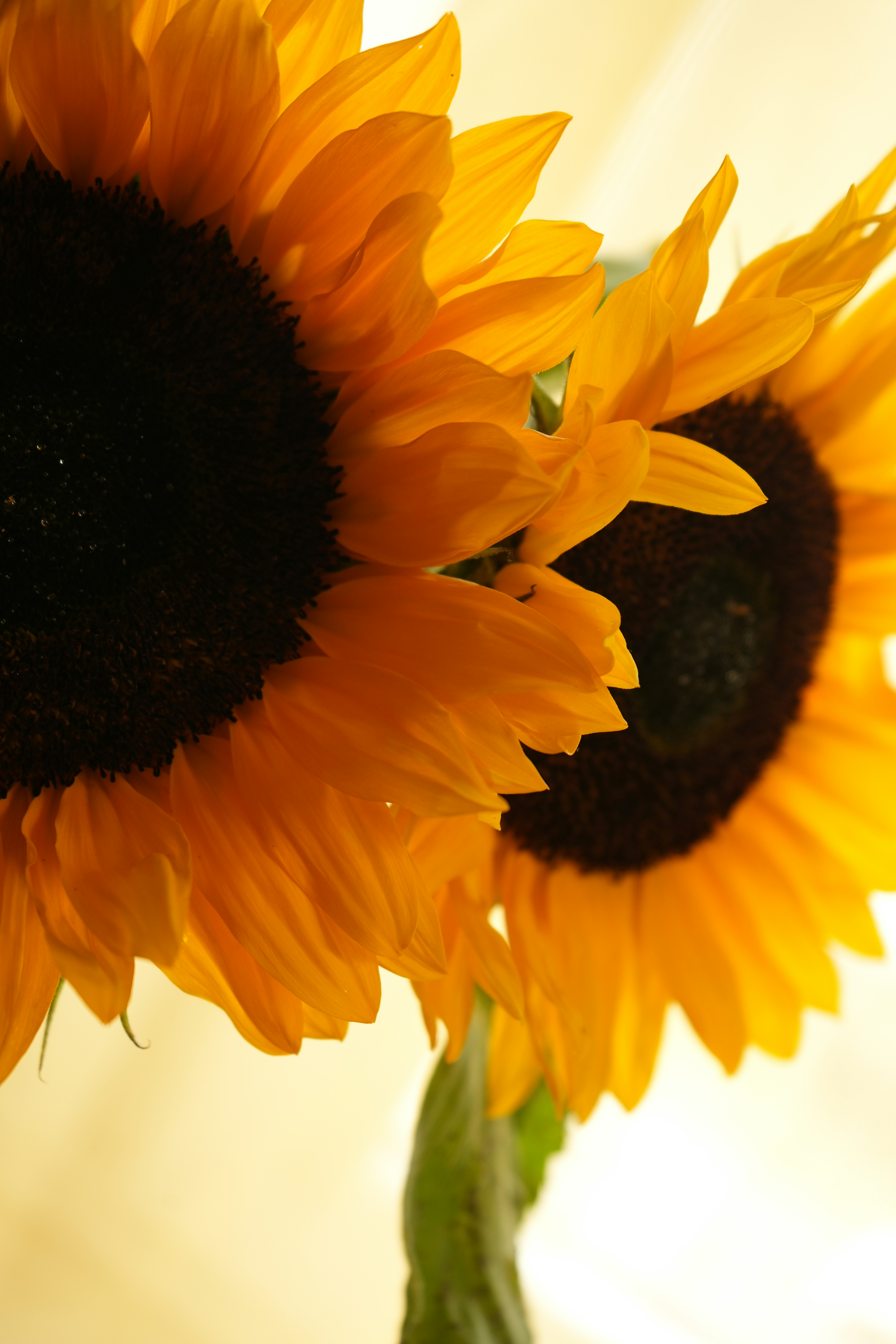 Photo by mari_drakkar