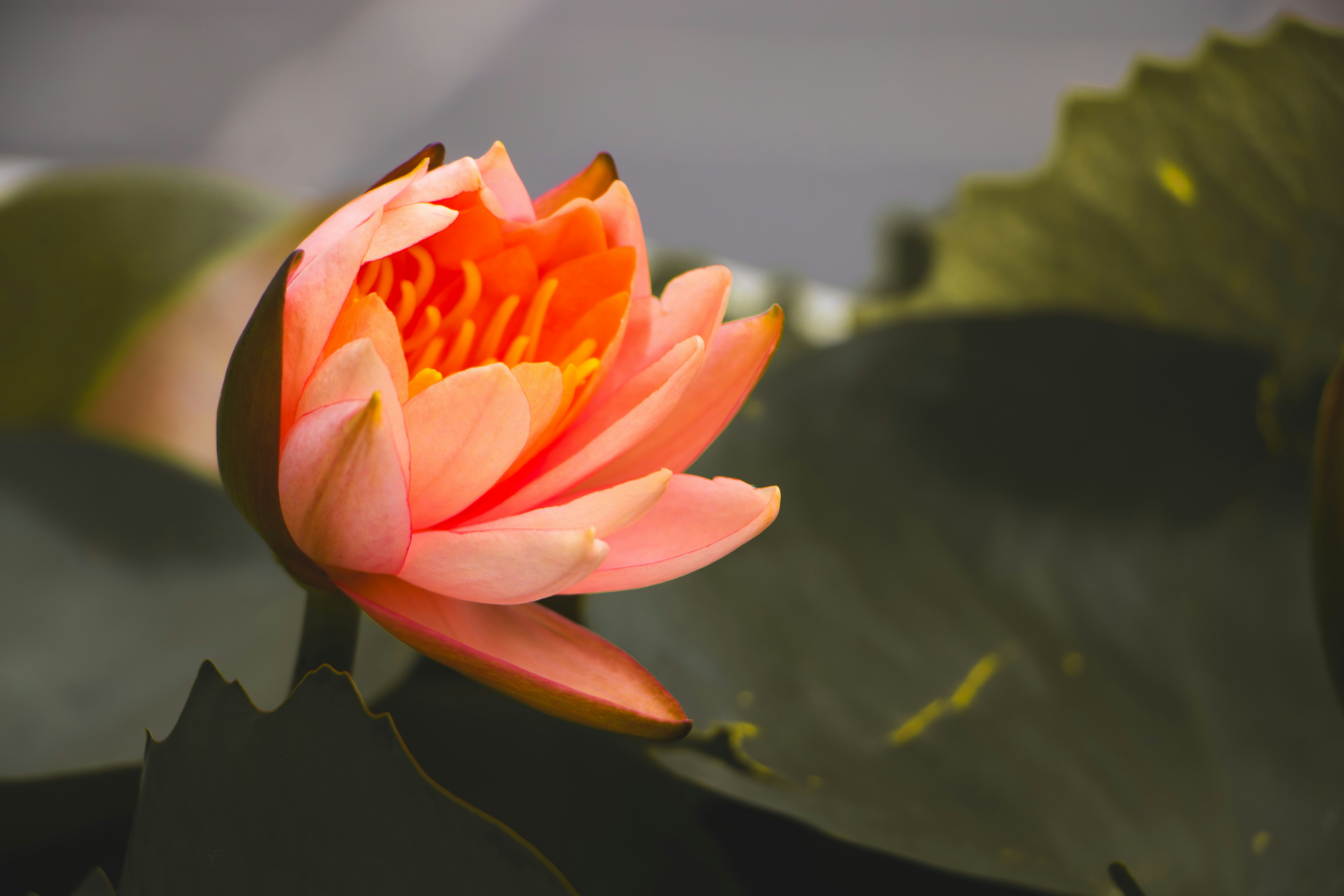 Trong các hạng người, tôi cho rằng nhà văn là kẻ than vãn bền bỉ nhất Feature Image