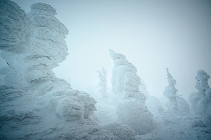 Snow-covered trees at Zao Onsen — the juhyo phenomenon that makes January and February visits worth the cold