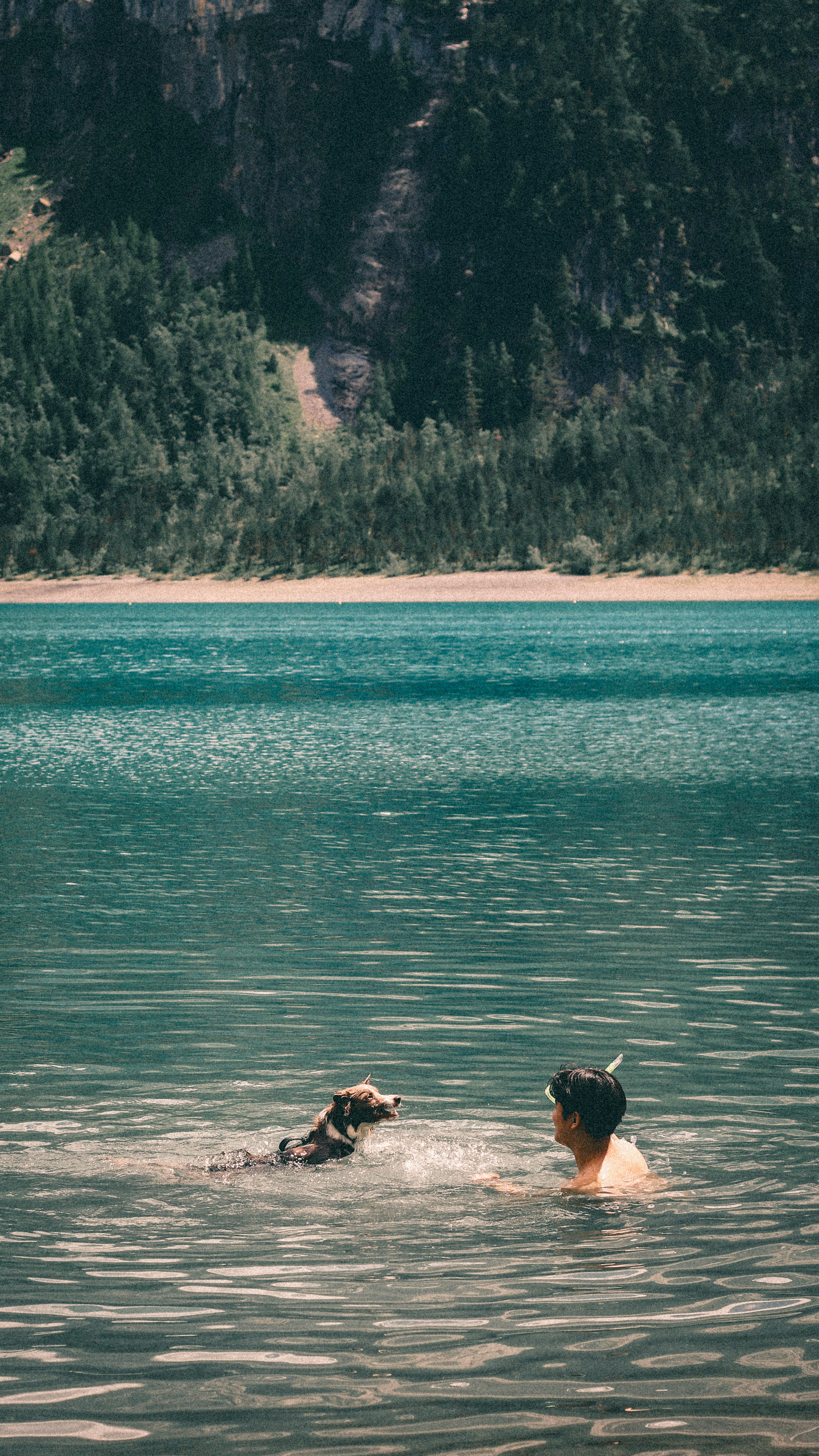 Man and dog swimming in a clear lake