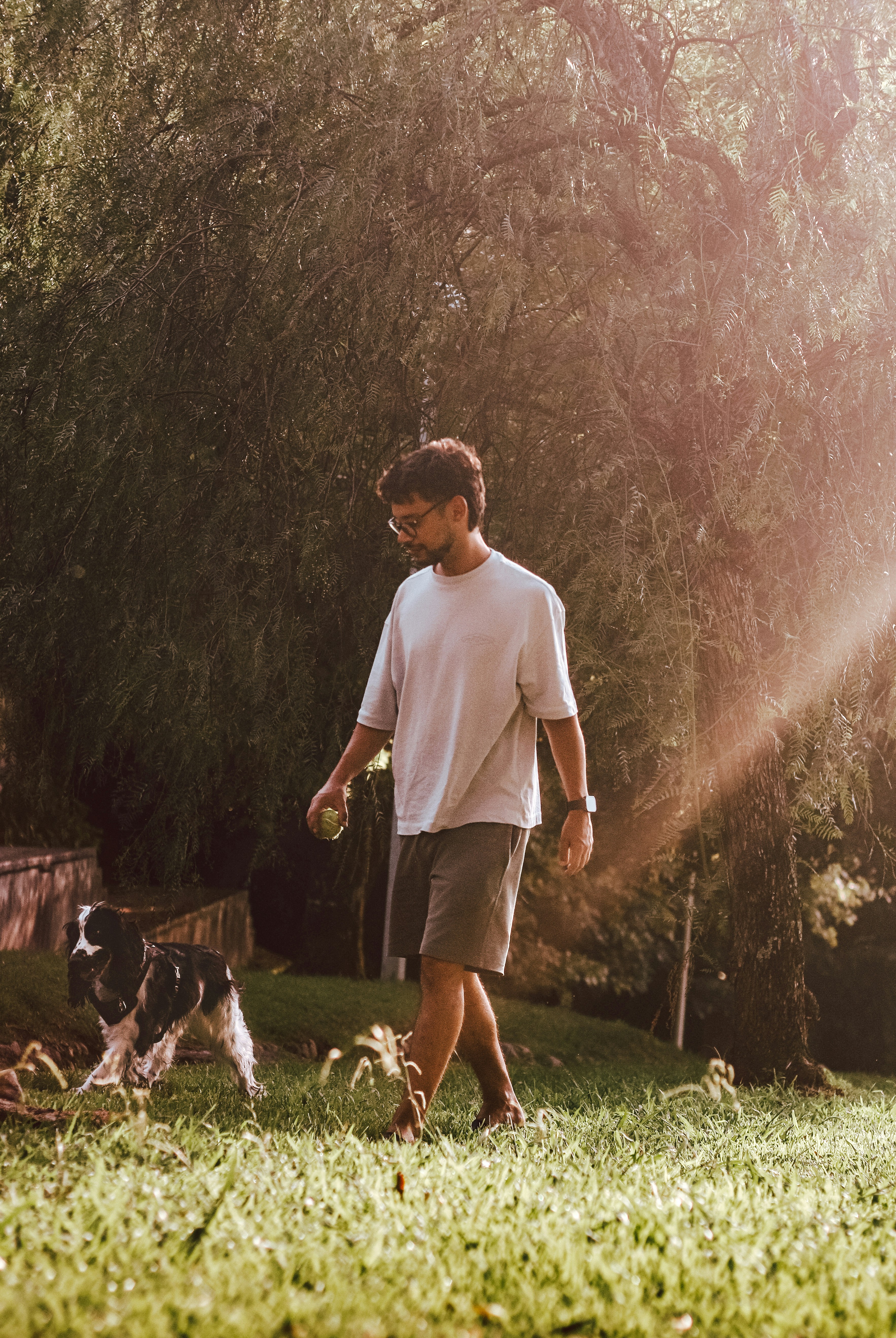 Man walking a dog in a grassy park