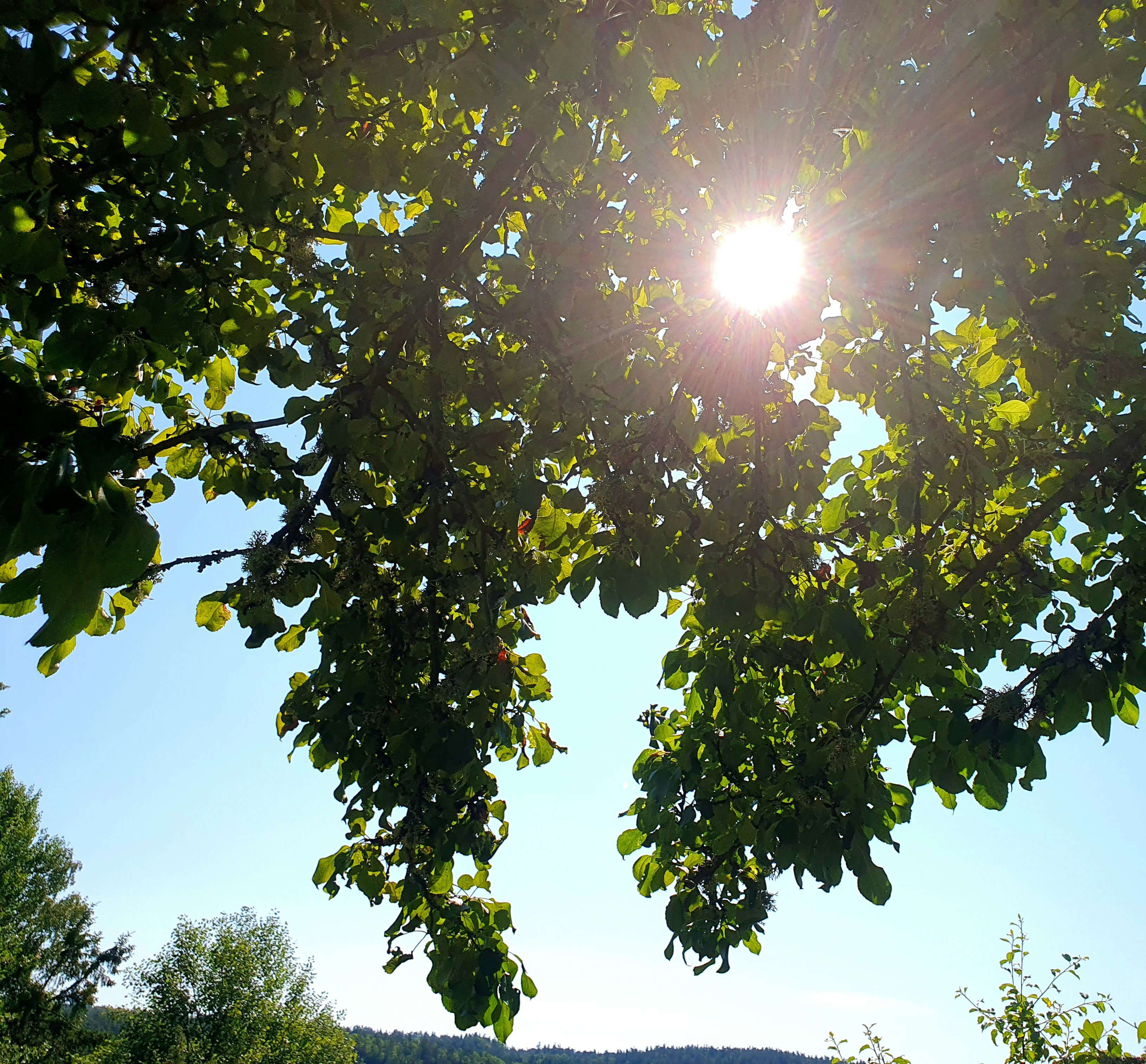 Photo by arcturiankimona