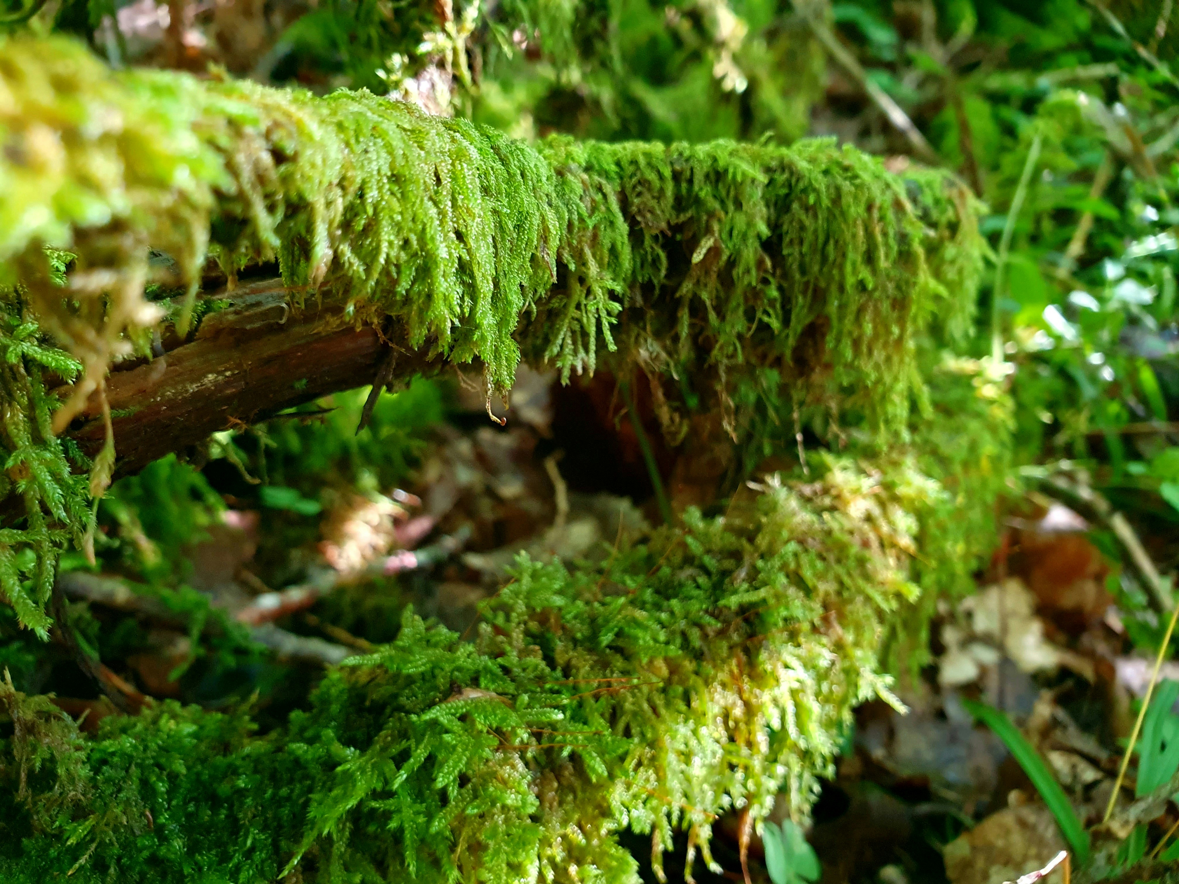 Photo by arcturiankimona