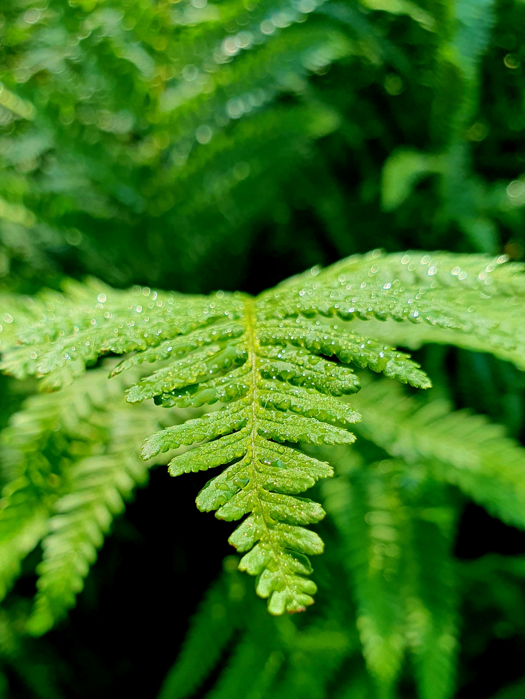 Photo by arcturiankimona